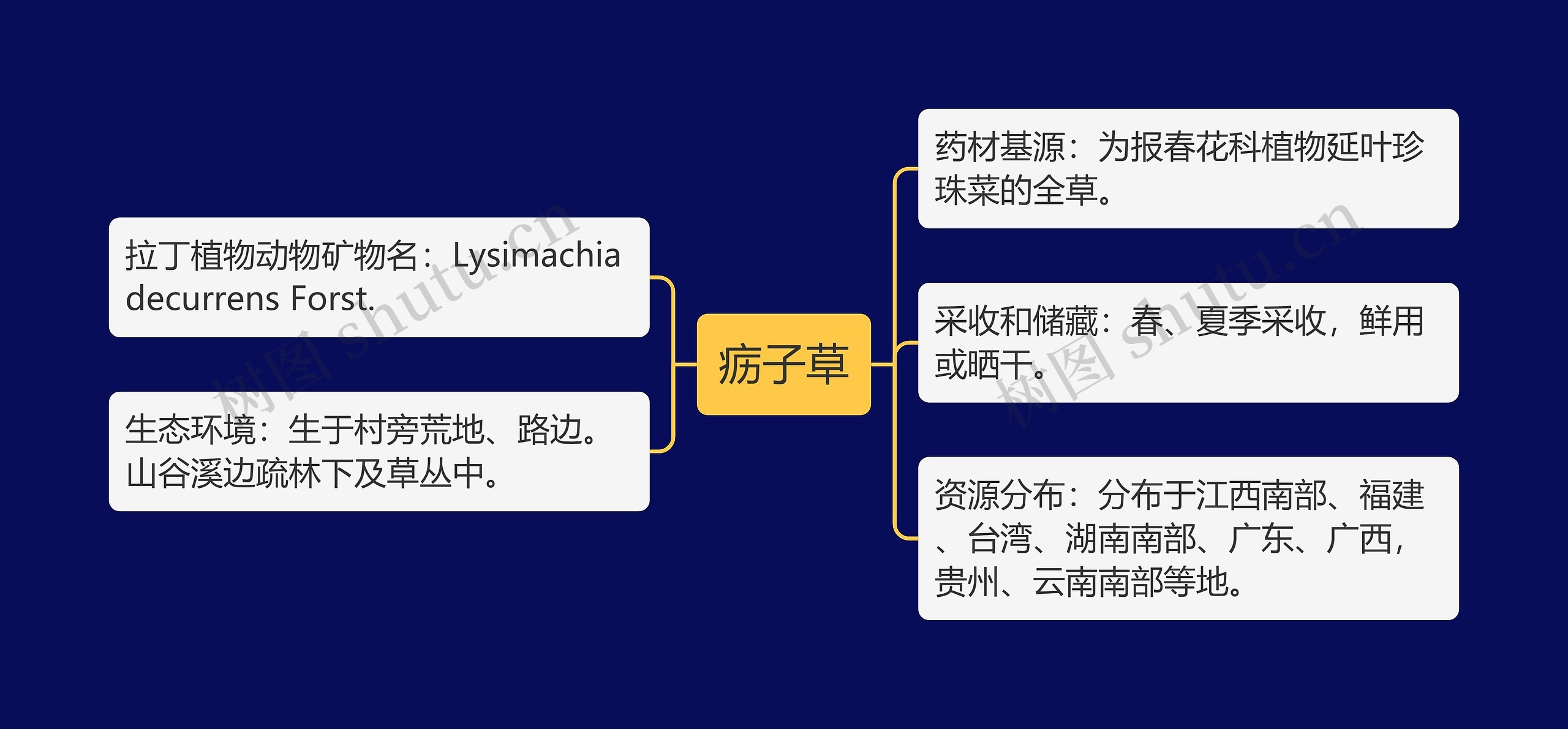 疬子草思维导图