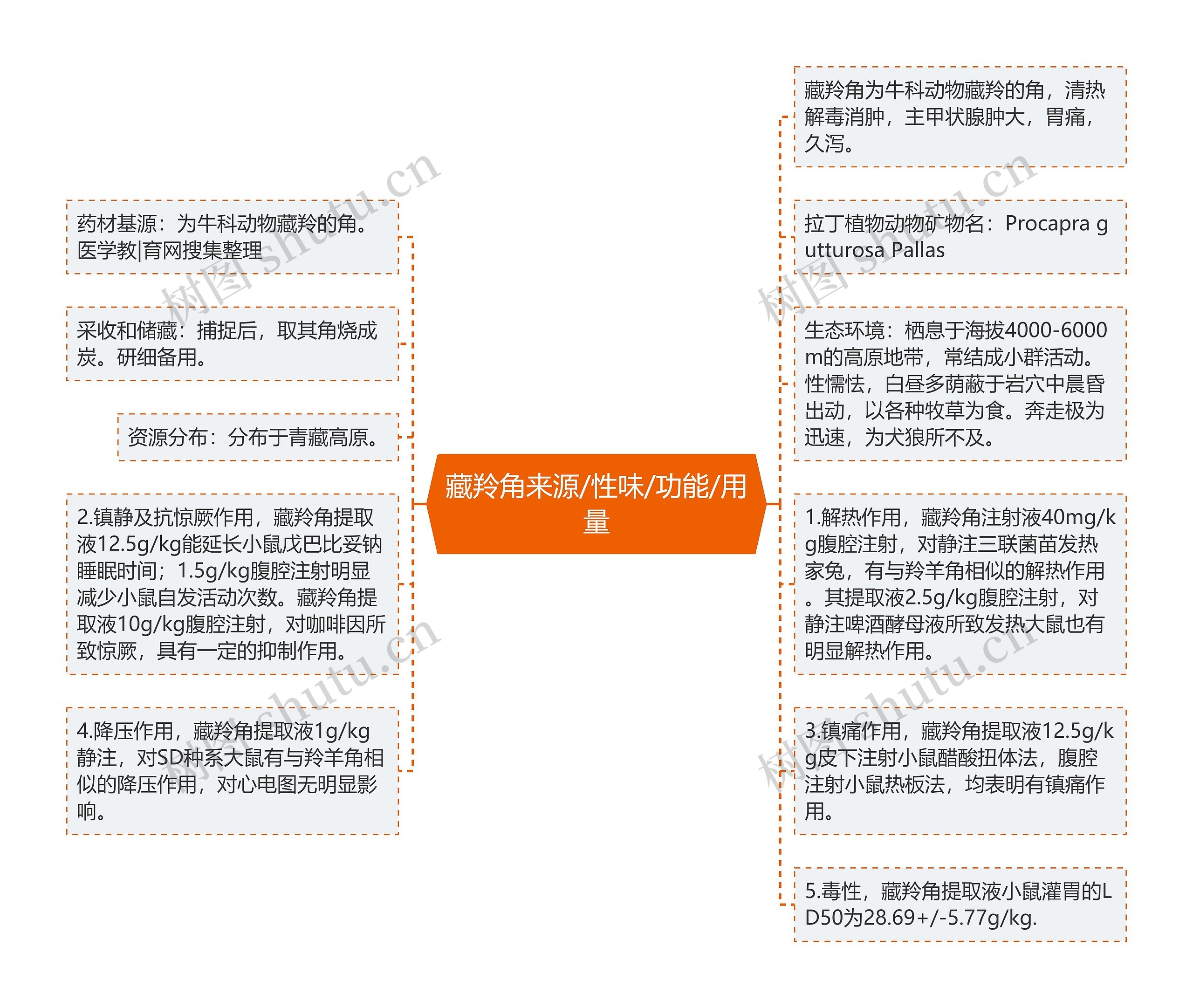 藏羚角来源/性味/功能/用量思维导图