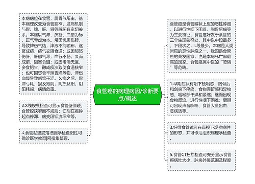 食管癌的病理病因/诊断要点/概述