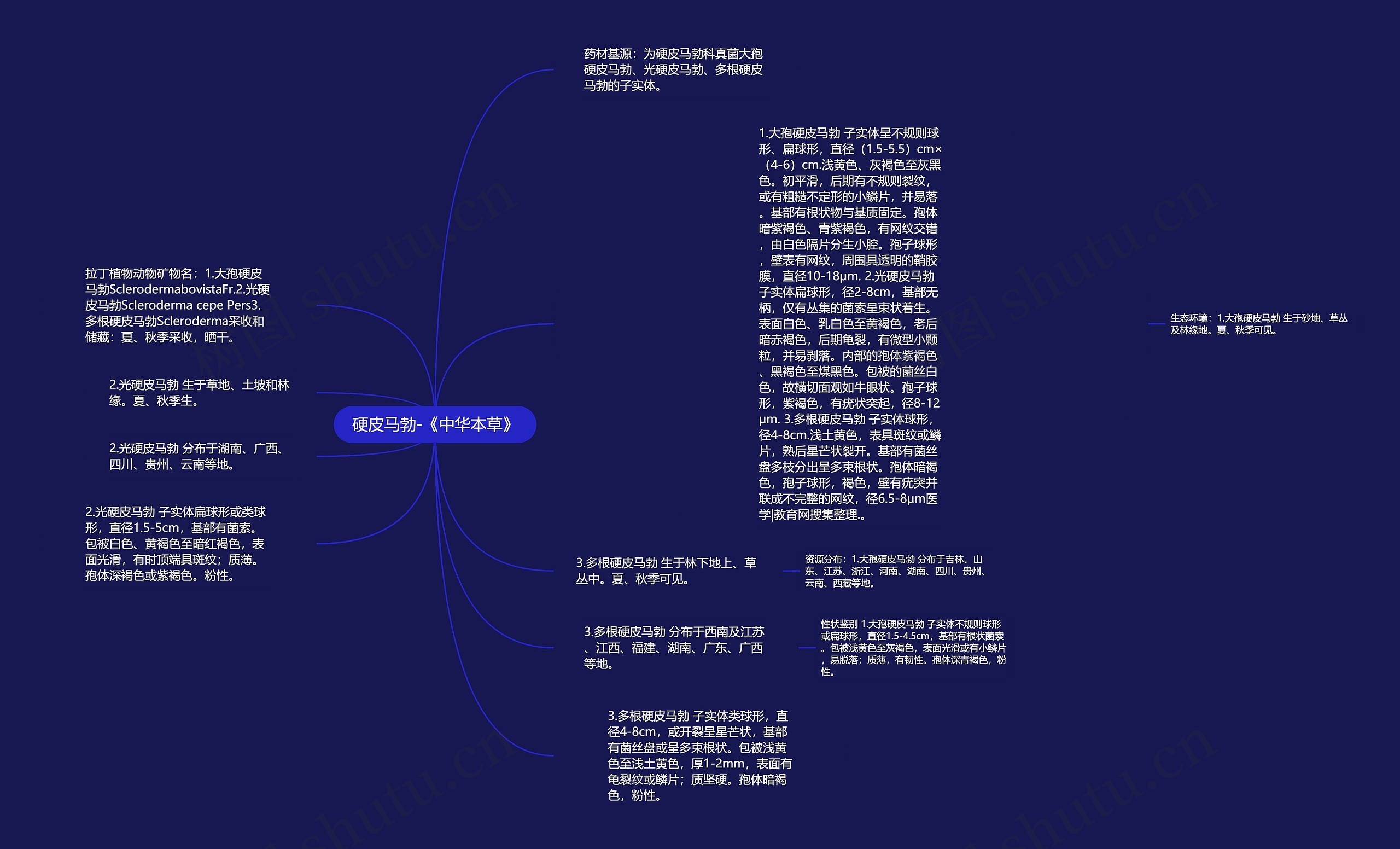 硬皮马勃-《中华本草》思维导图