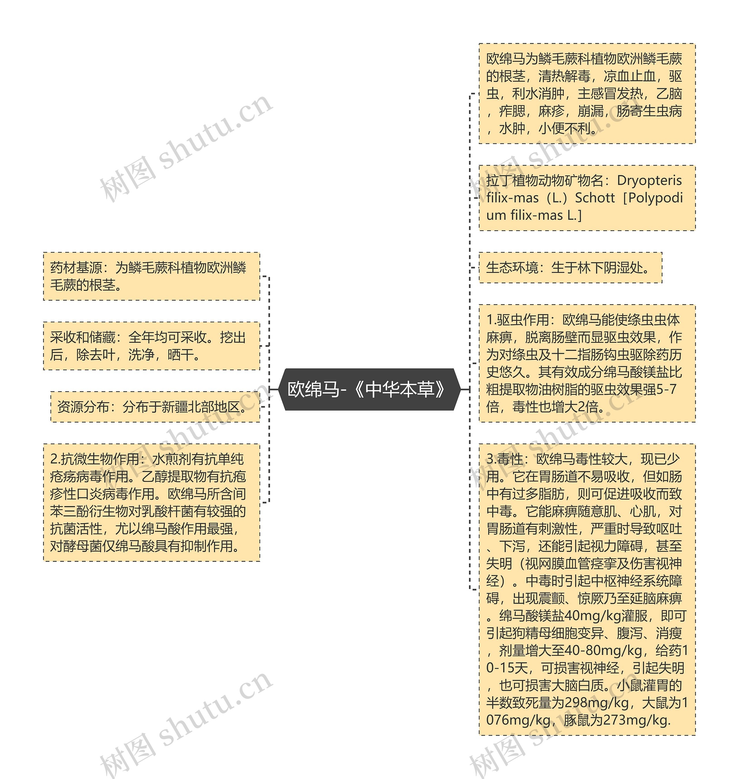 欧绵马-《中华本草》思维导图