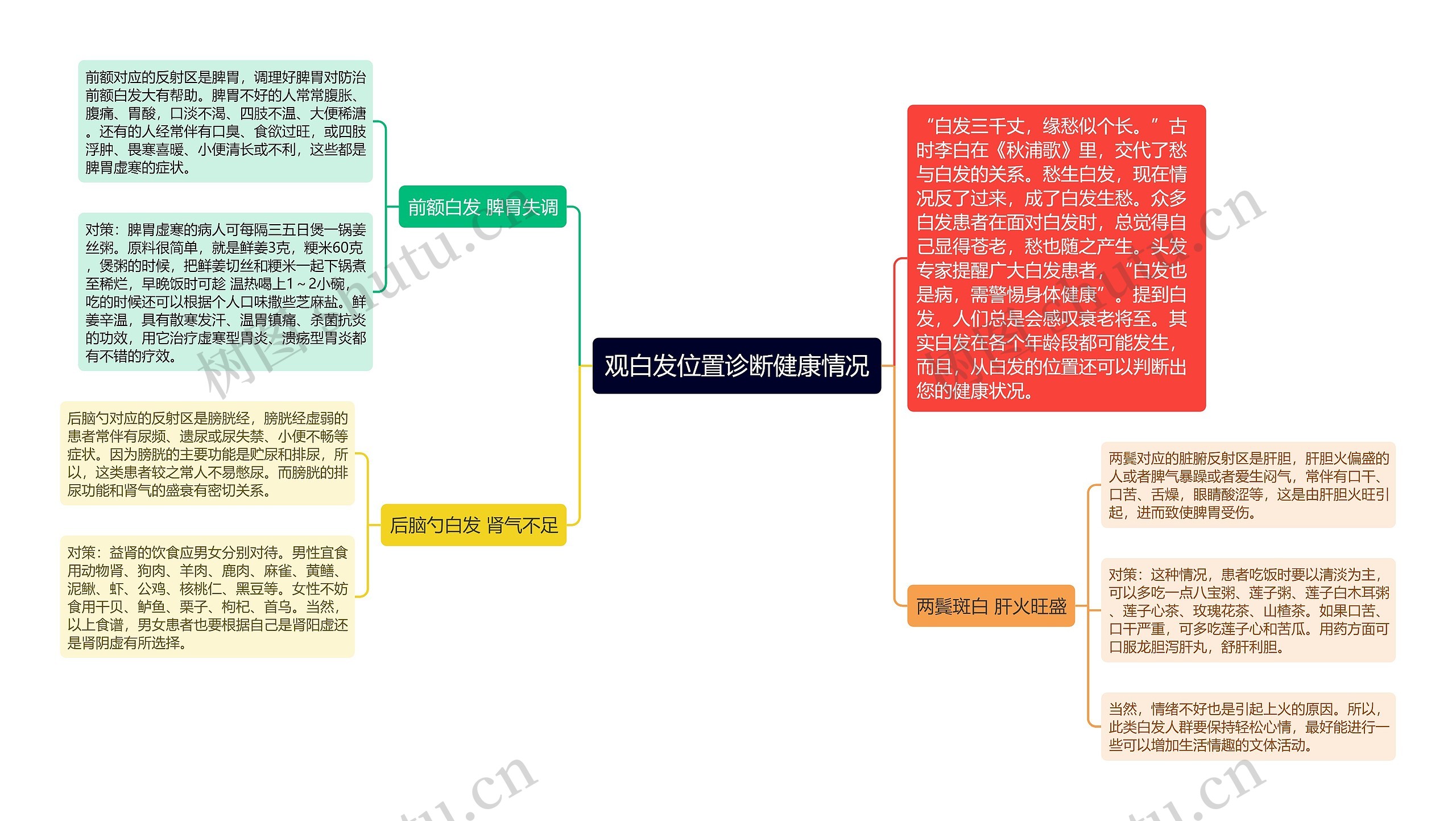 观白发位置诊断健康情况思维导图