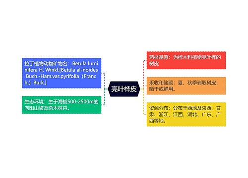 亮叶桦皮