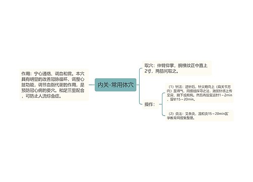 内关-常用体穴