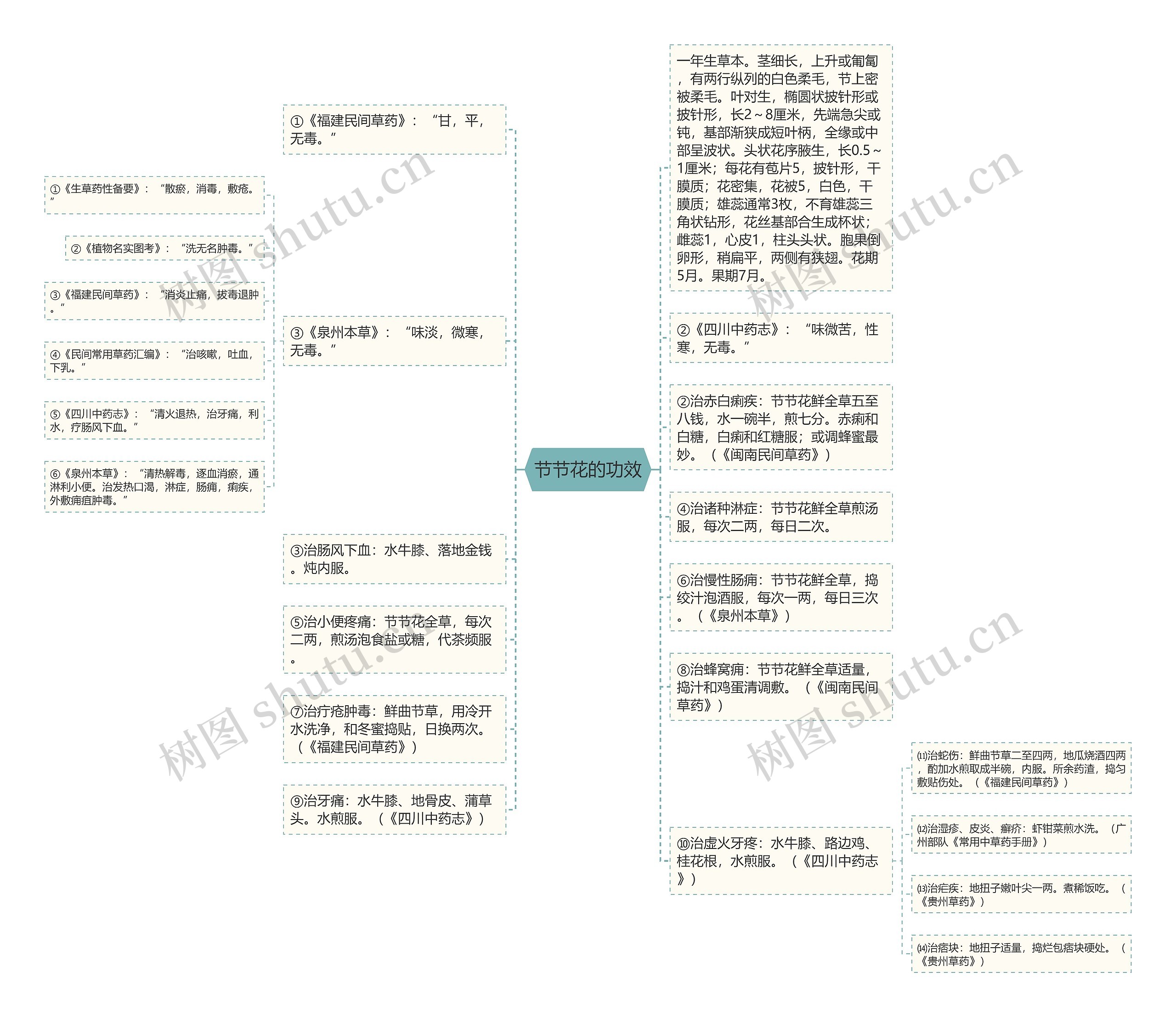 节节花的功效思维导图