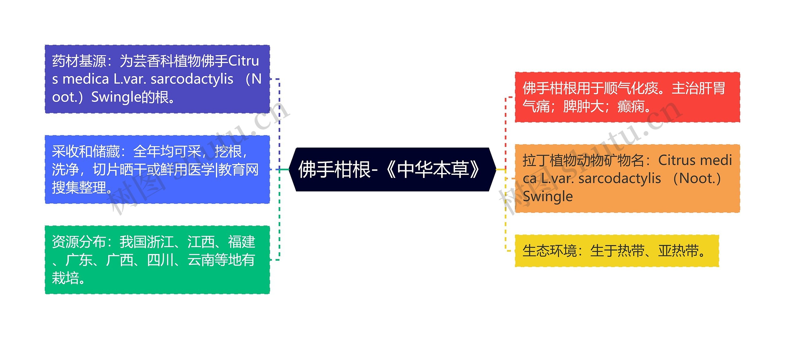 佛手柑根-《中华本草》