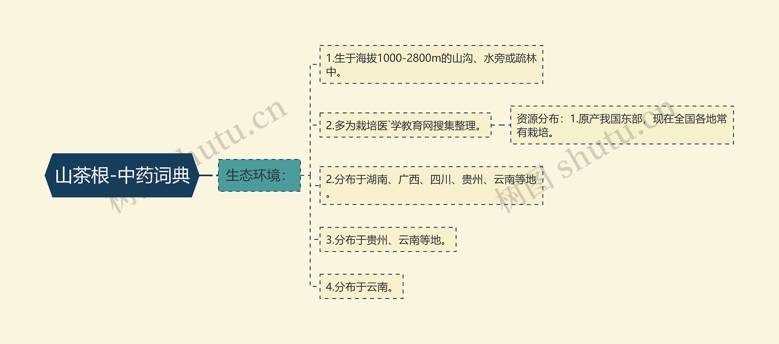 山茶根-中药词典思维导图