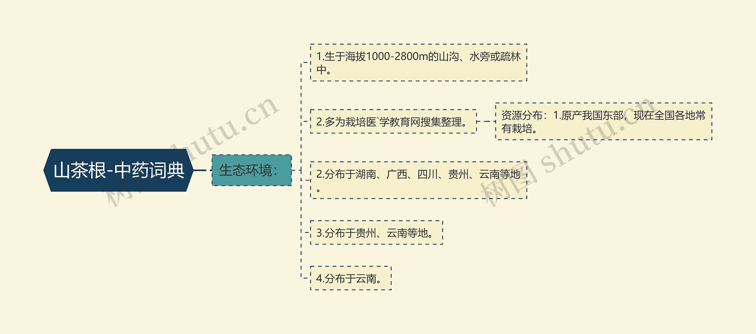 山茶根-中药词典 山茶根-中药词典