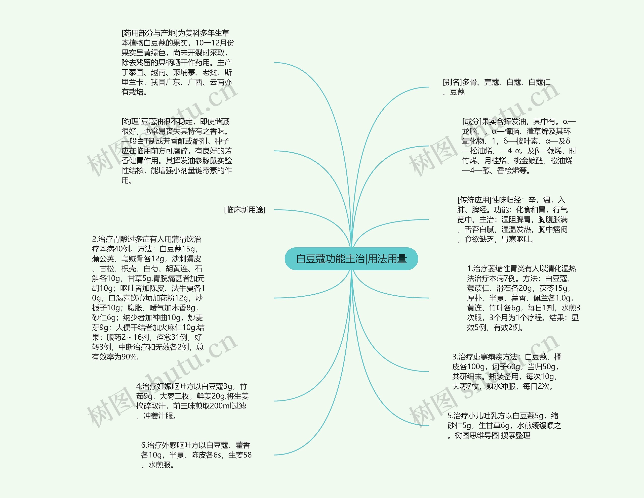 白豆蔻功能主治|用法用量