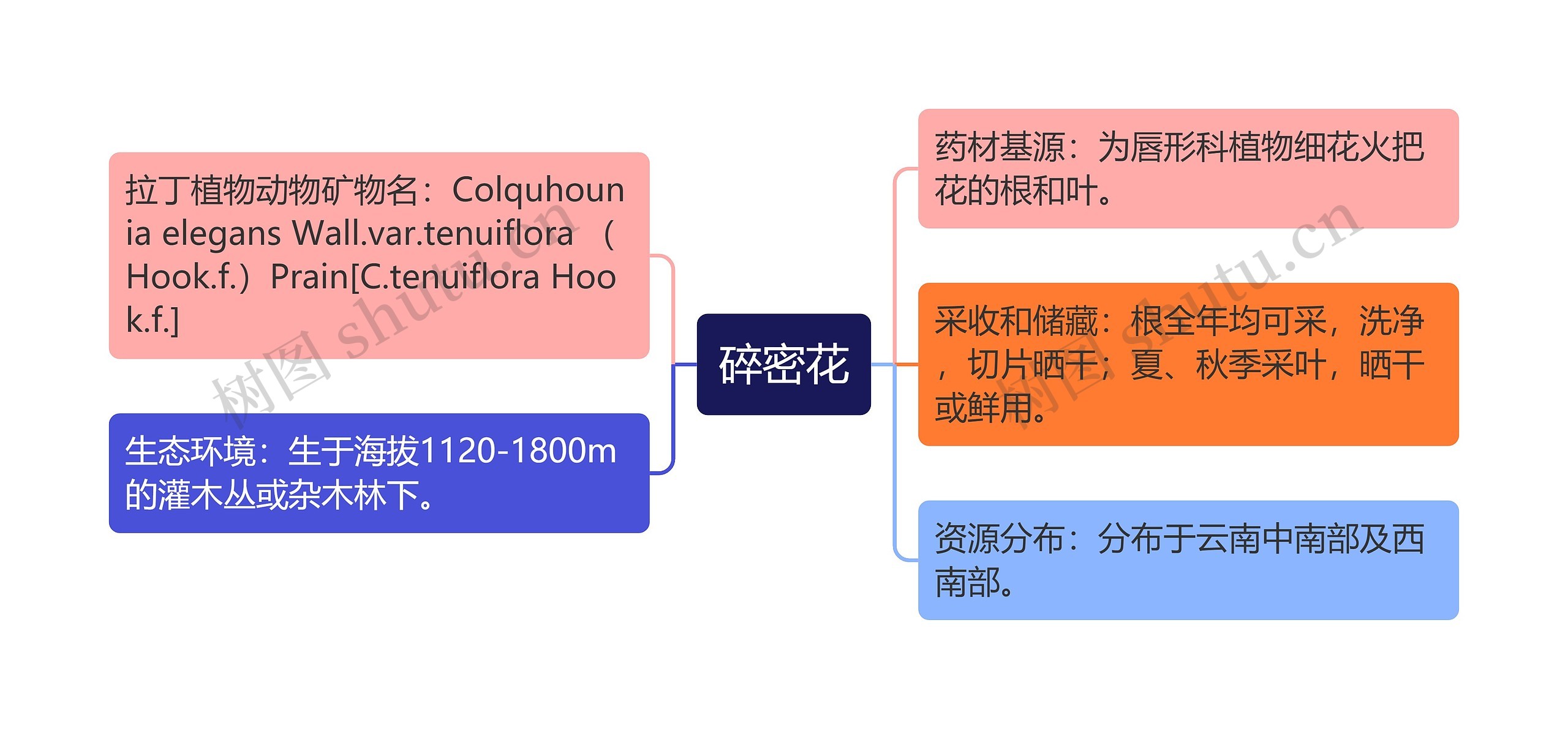 碎密花思维导图