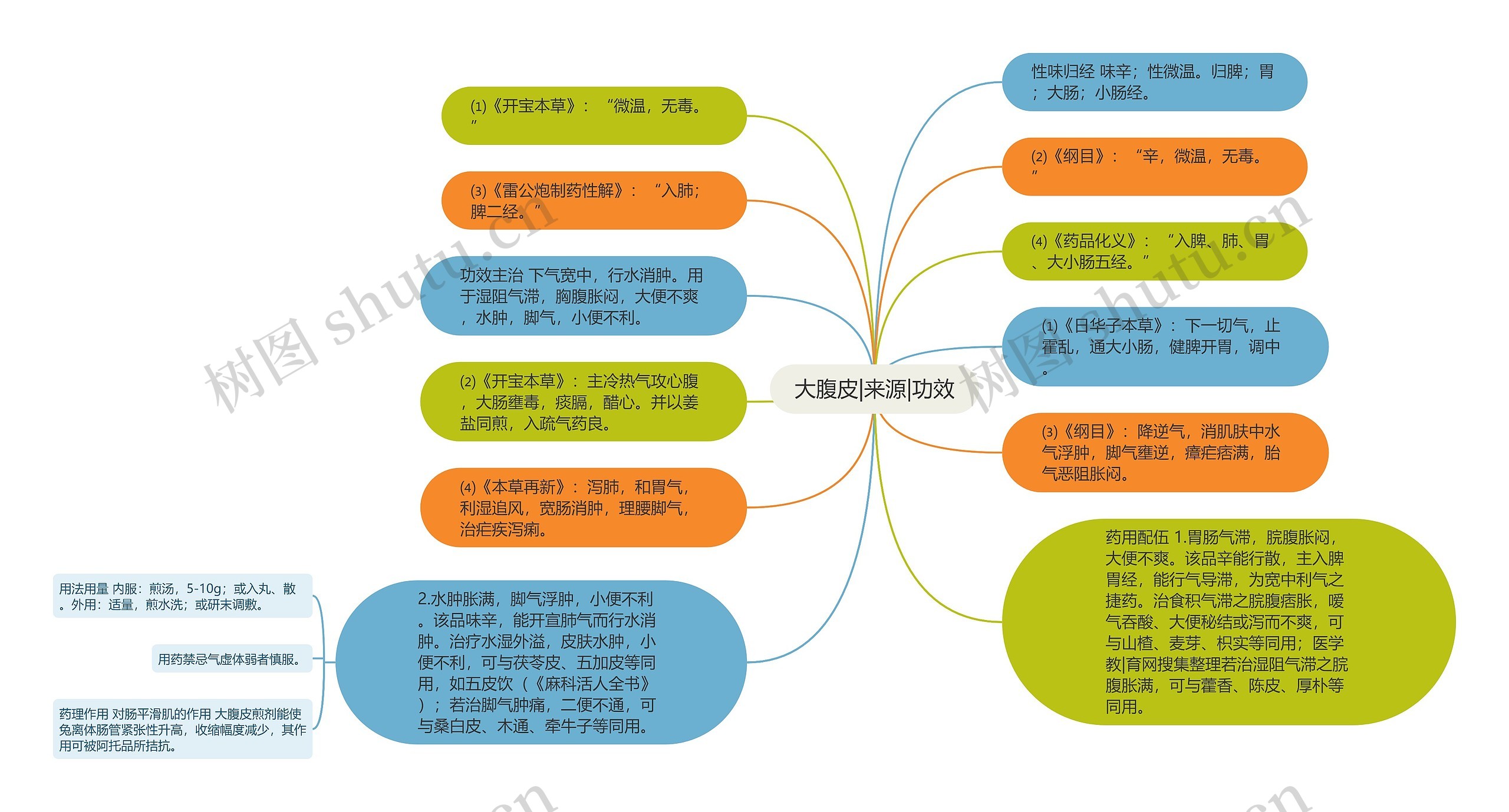 大腹皮|来源|功效思维导图