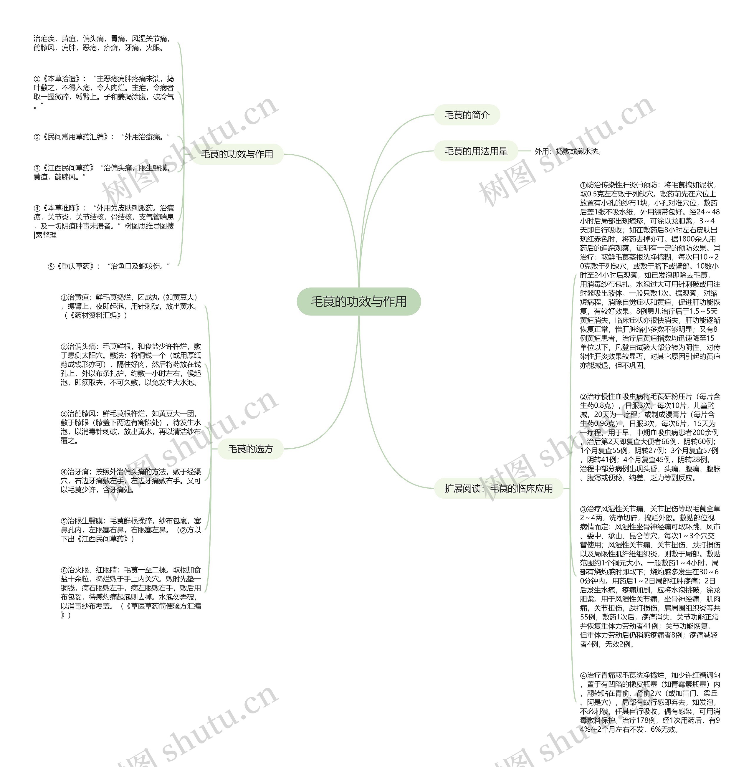 毛茛的功效与作用思维导图