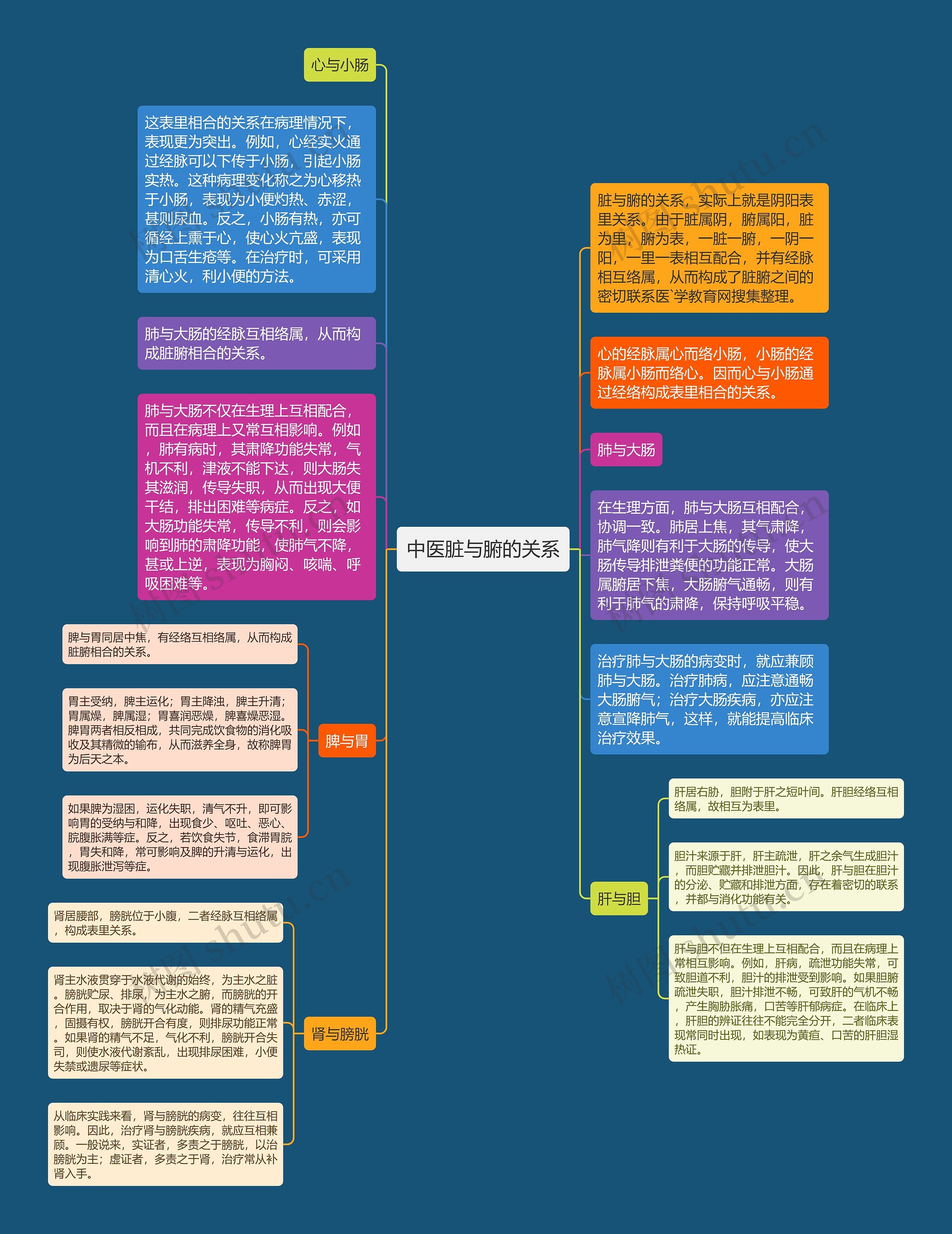 中医脏与腑的关系思维导图