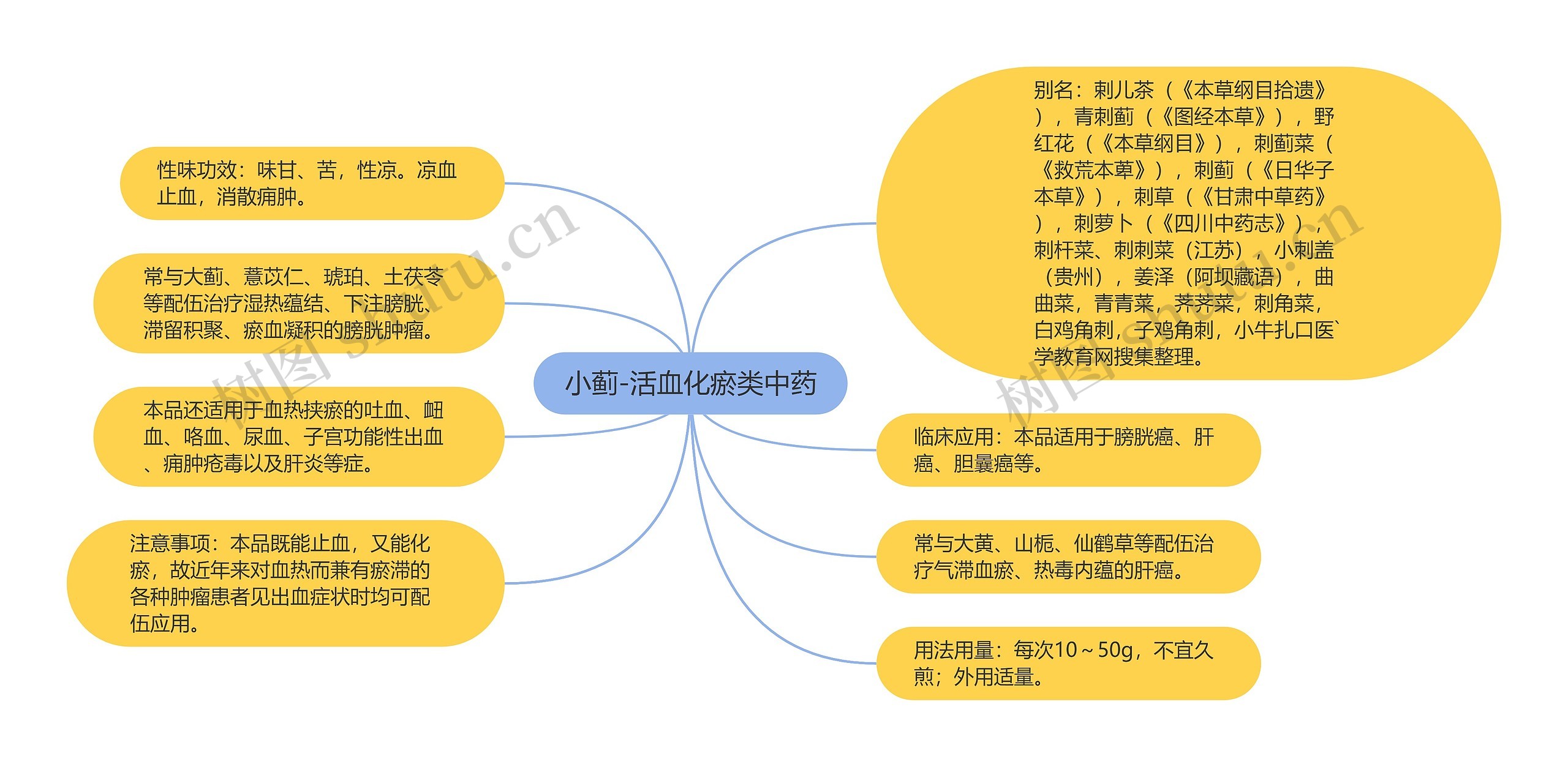 小蓟-活血化瘀类中药思维导图