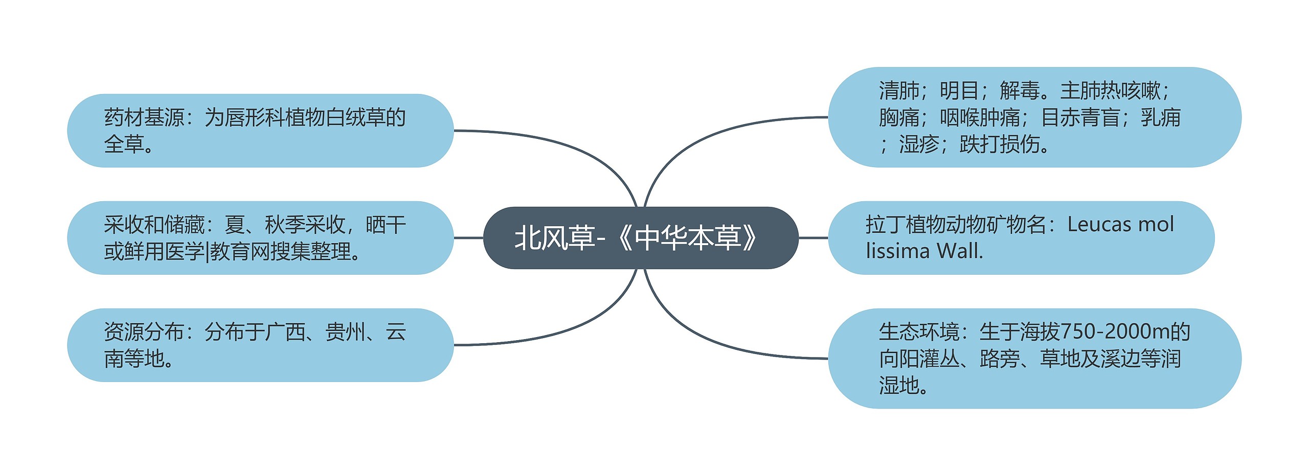 北风草-《中华本草》思维导图