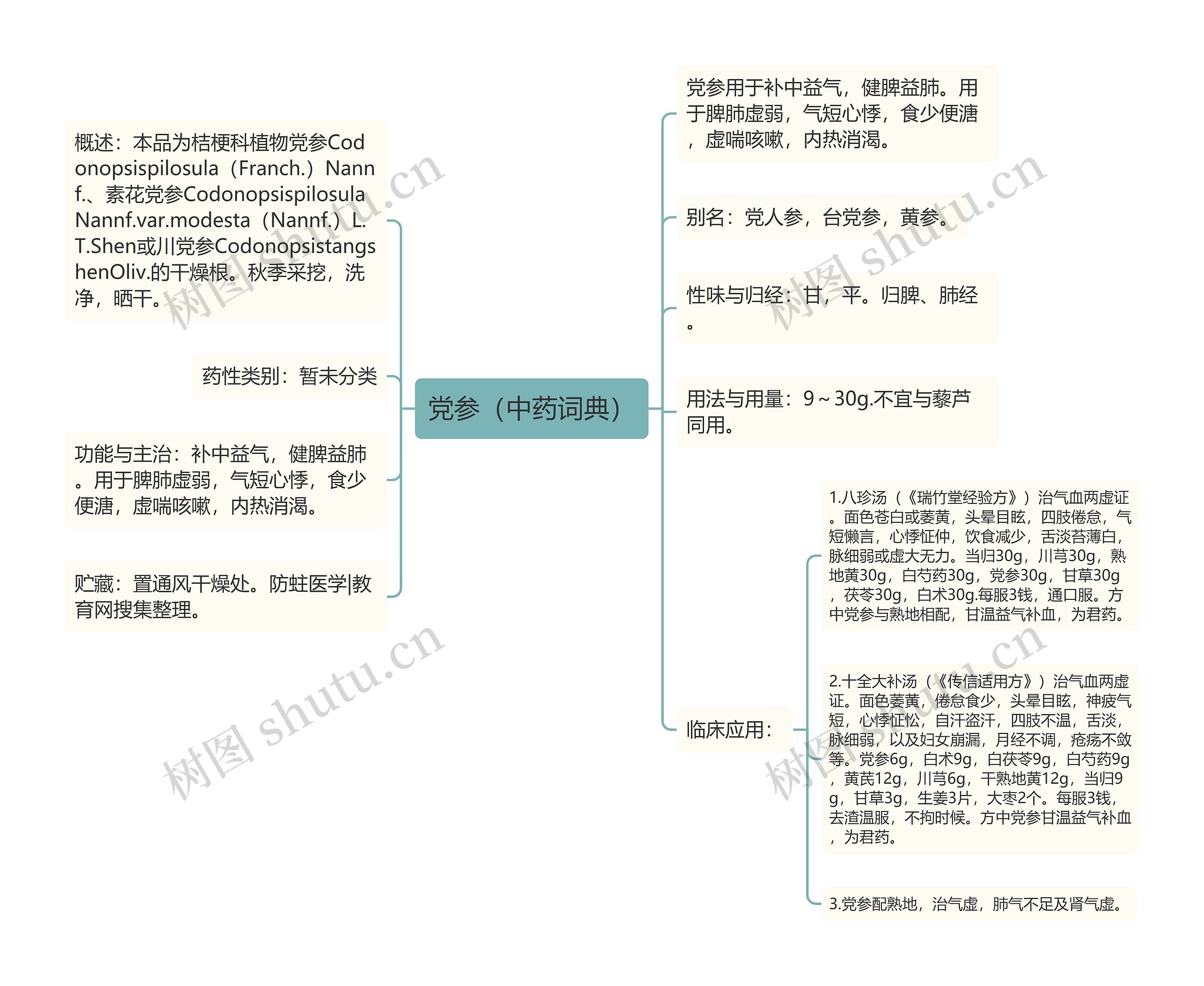 党参（中药词典）思维导图