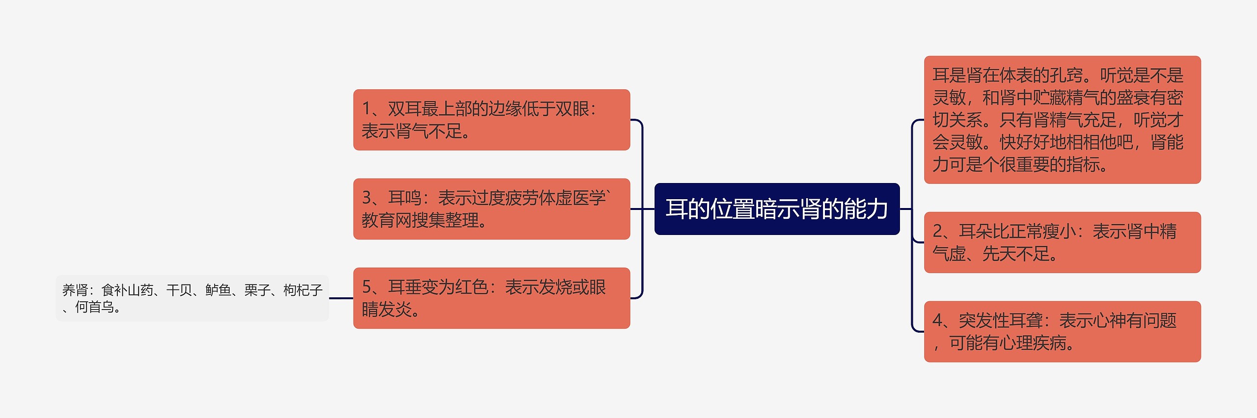 耳的位置暗示肾的能力 耳的位置暗示肾的能力