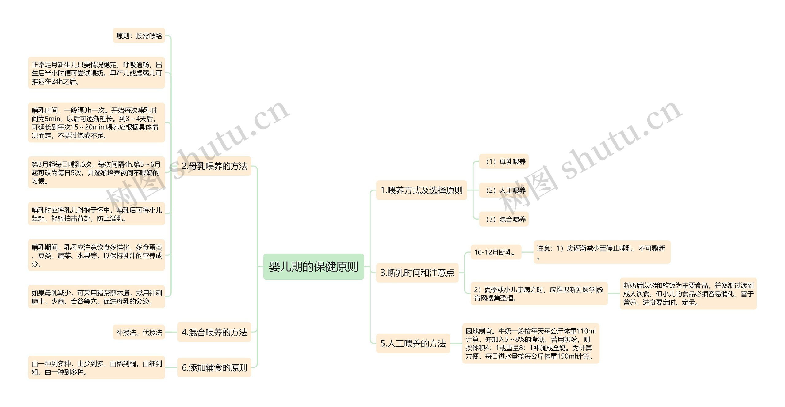 婴儿期的保健原则思维导图