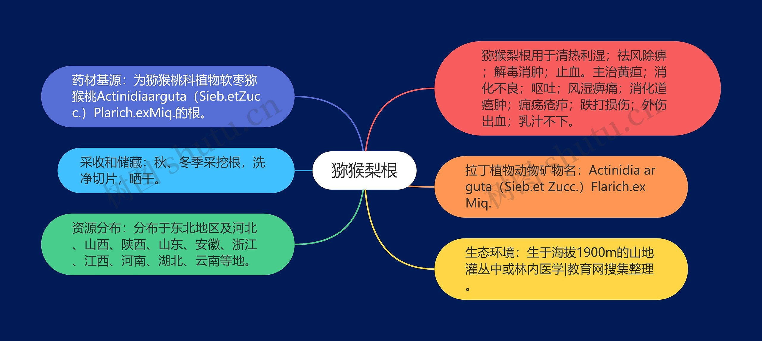 猕猴梨根思维导图