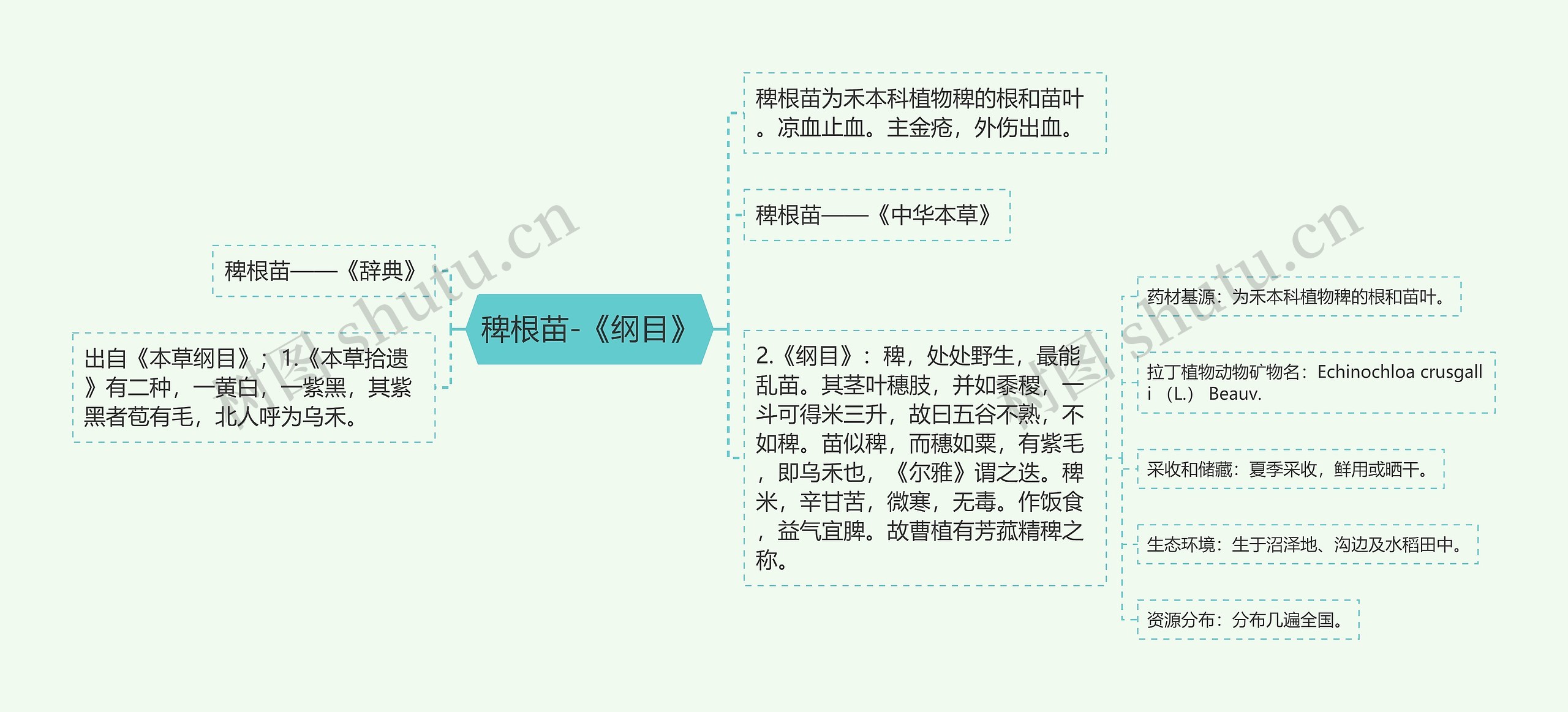 稗根苗-《纲目》思维导图