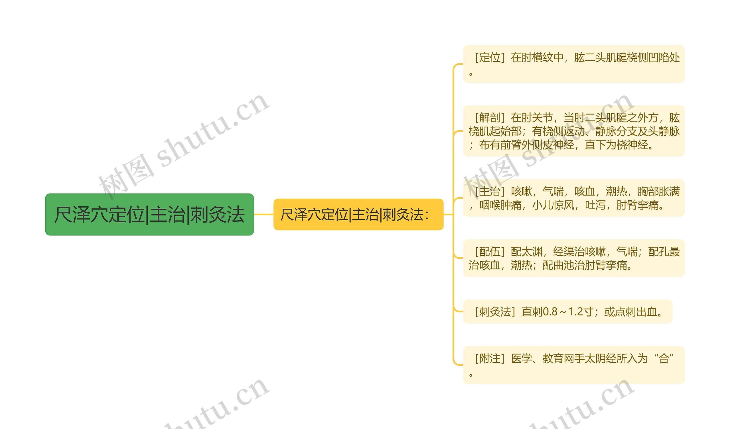 尺泽穴定位|主治|刺灸法思维导图