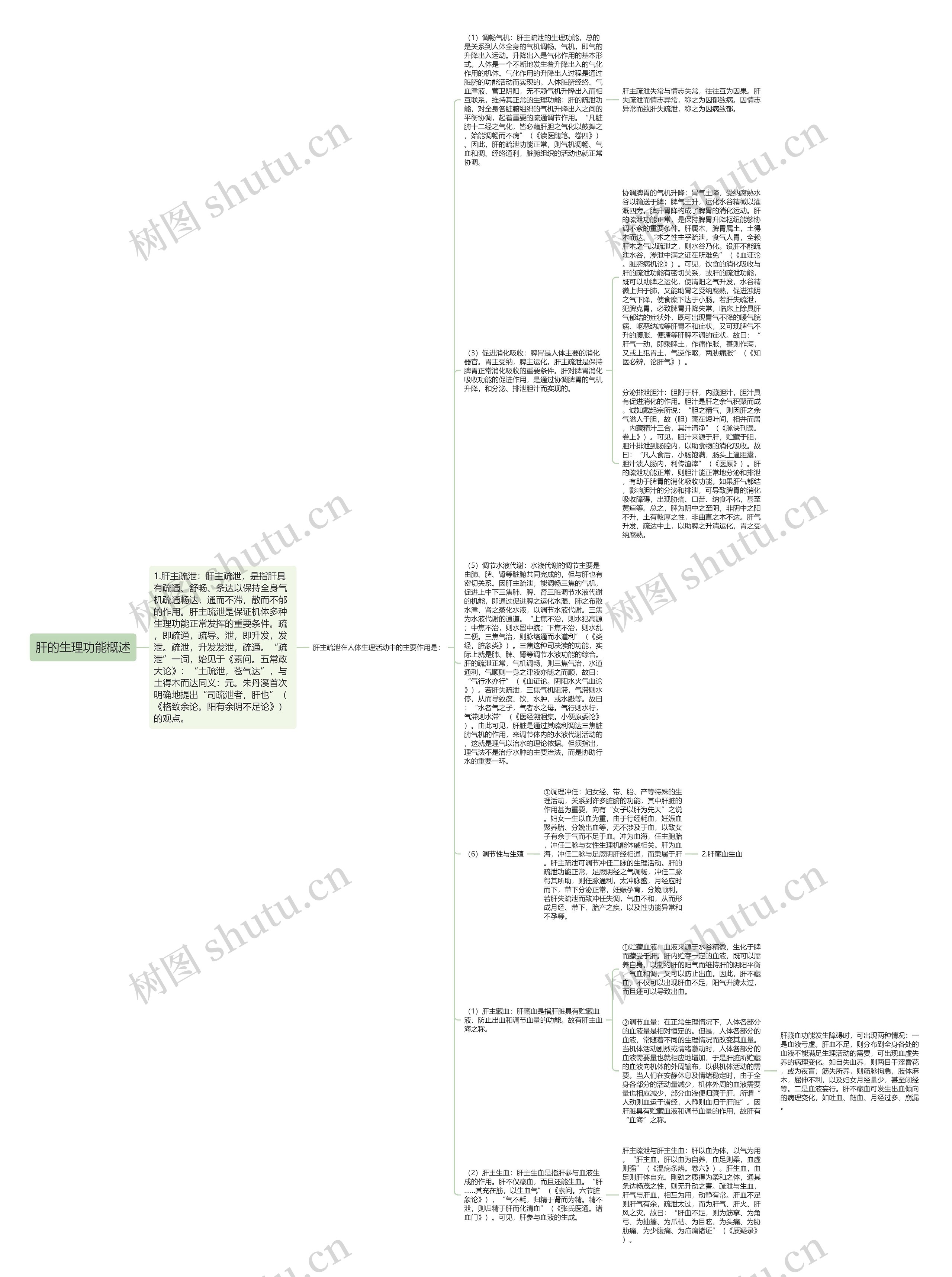 肝的生理功能概述思维导图