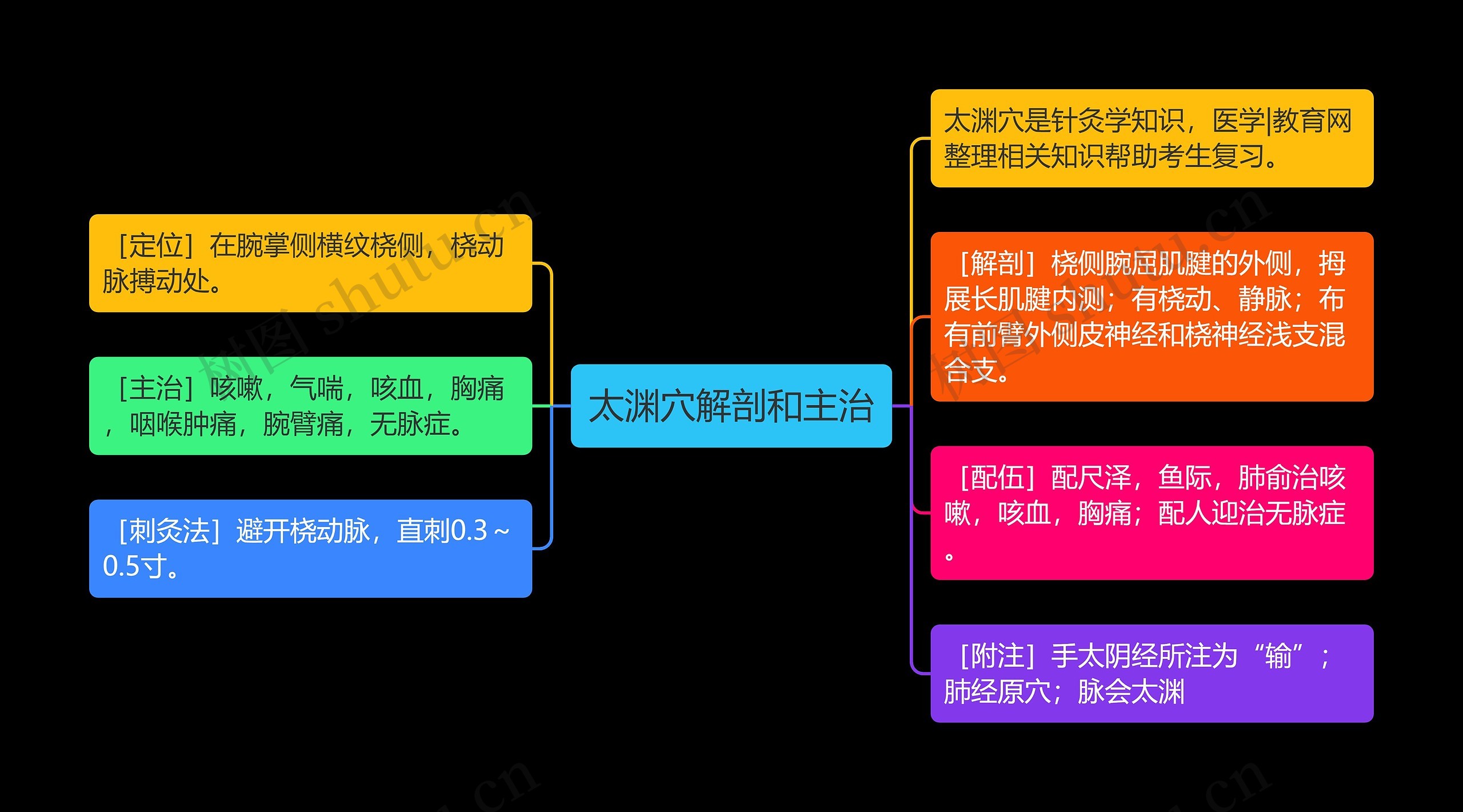 太渊穴解剖和主治思维导图