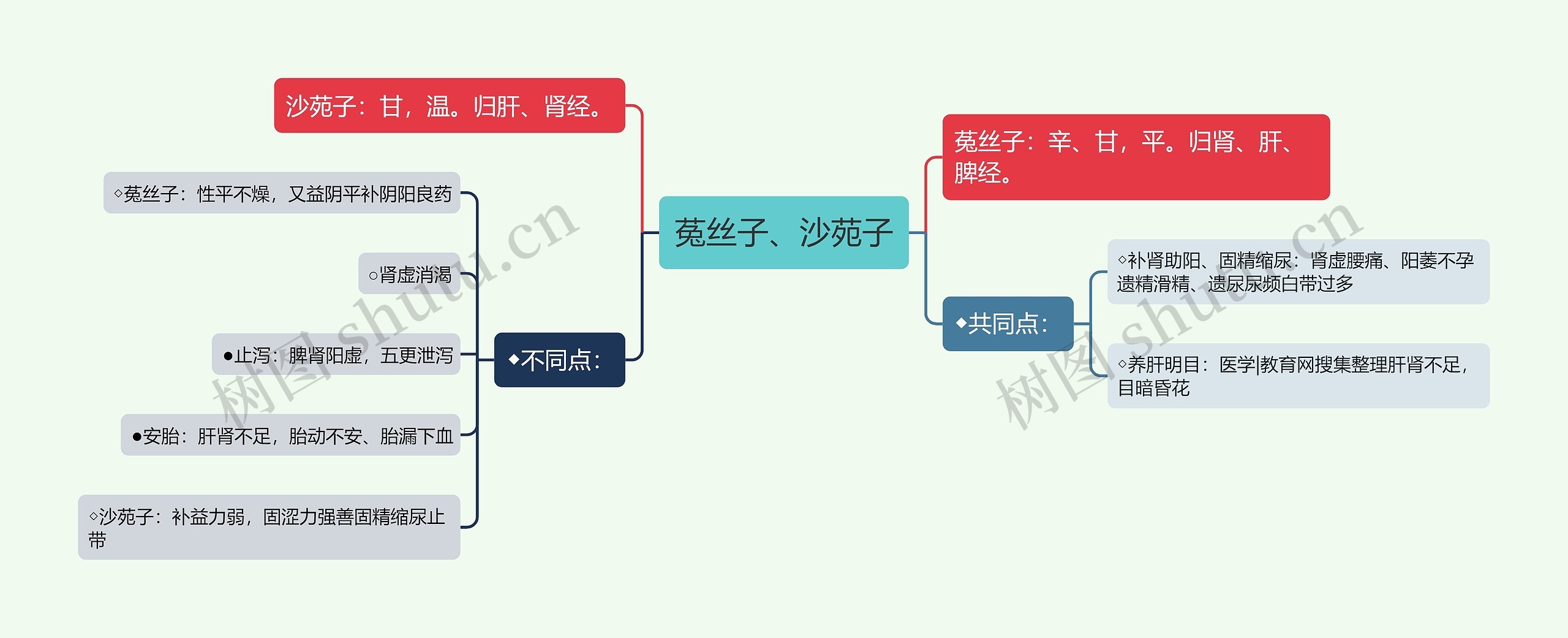 菟丝子、沙苑子思维导图