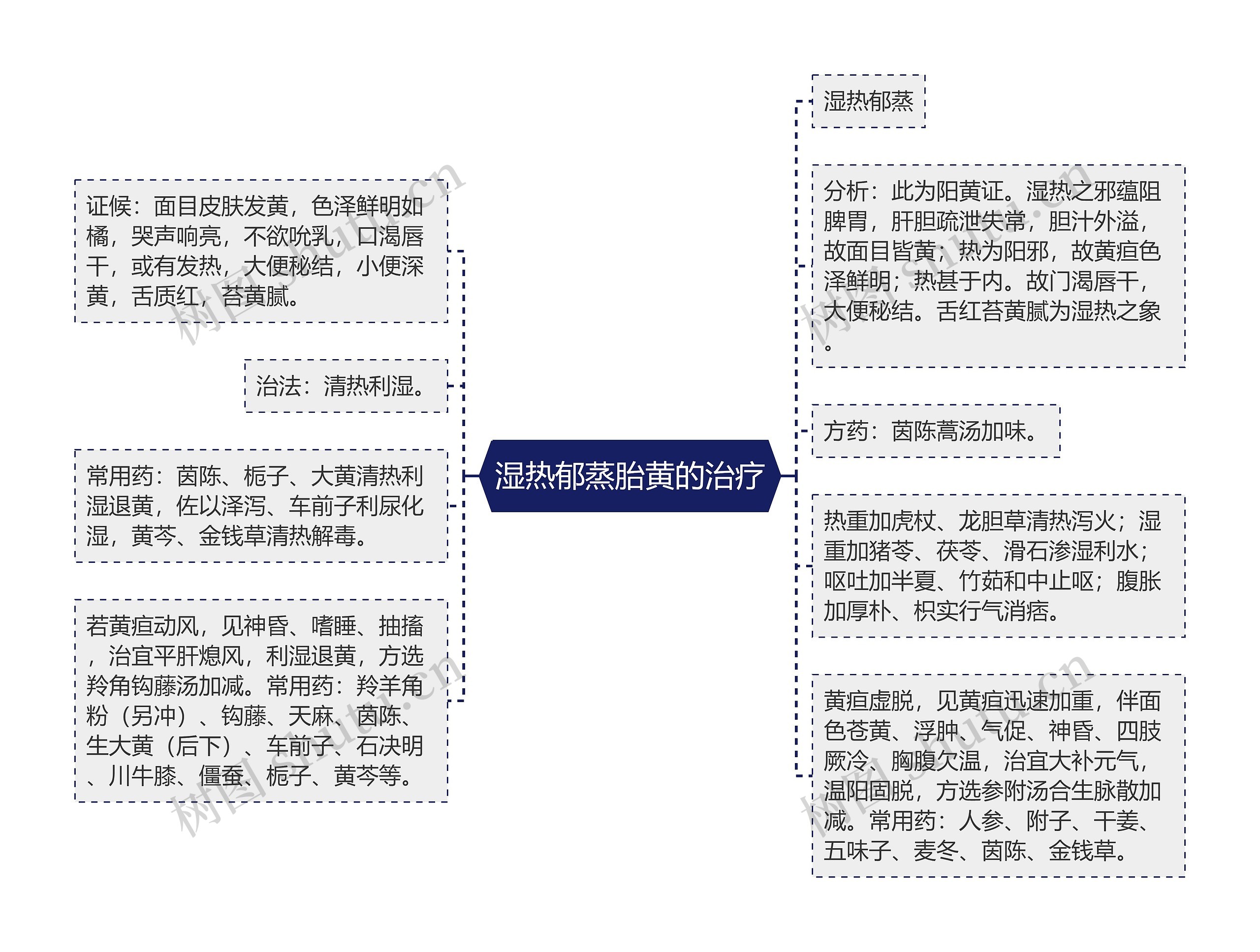 湿热郁蒸胎黄的治疗思维导图