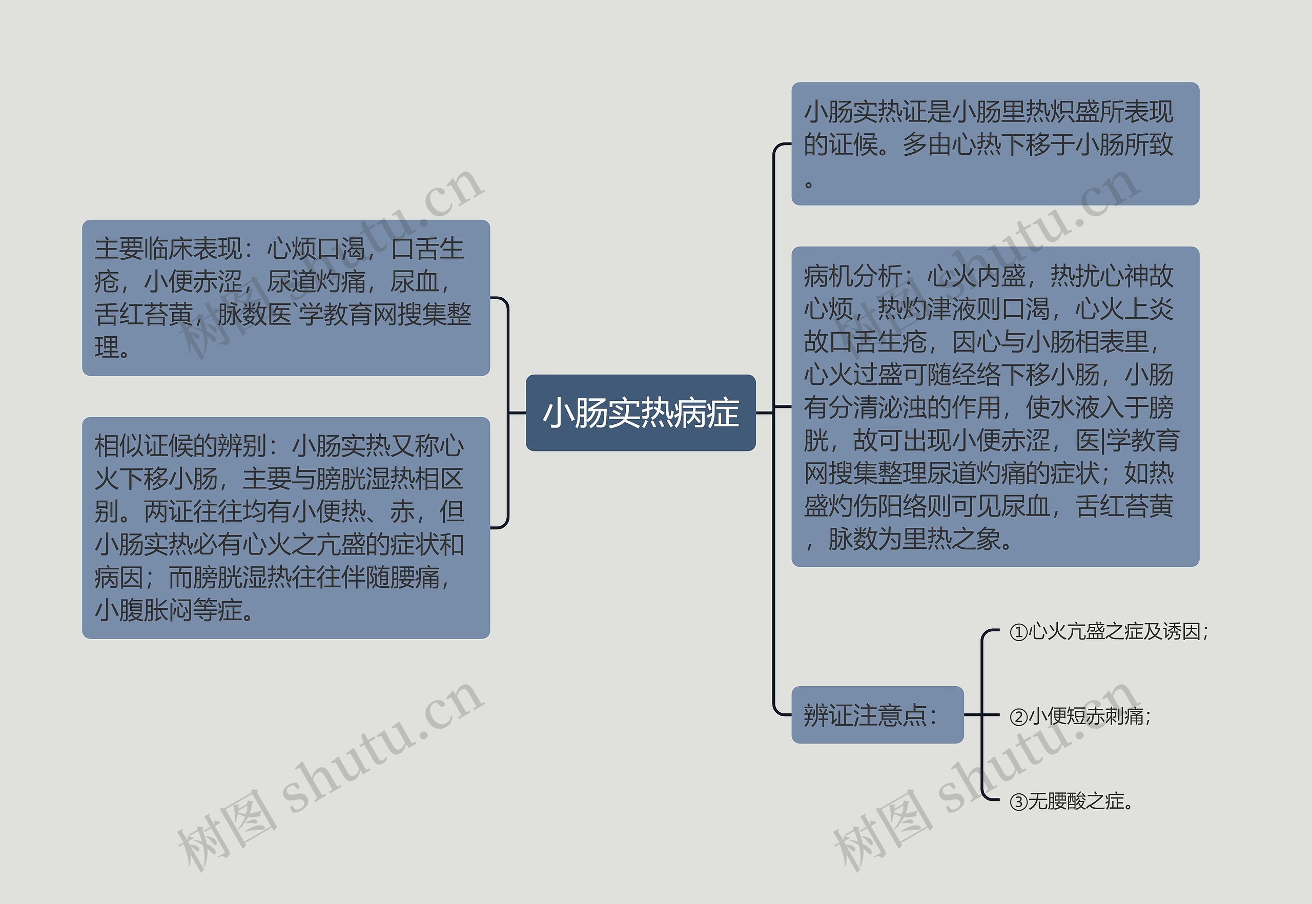 小肠实热病症思维导图