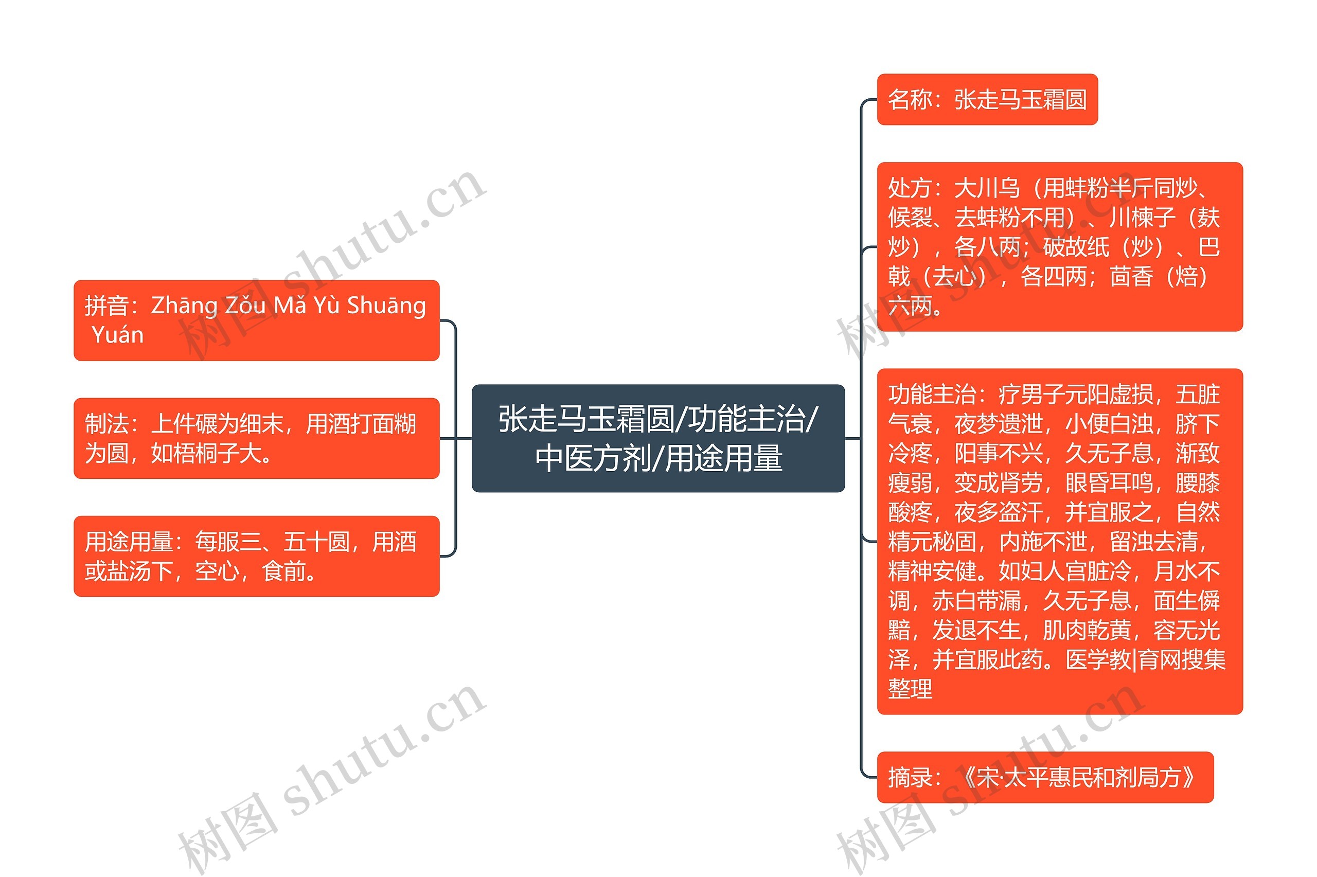 张走马玉霜圆/功能主治/中医方剂/用途用量思维导图