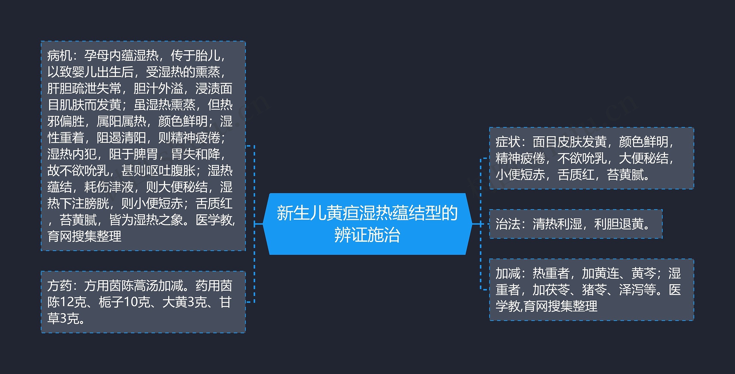 新生儿黄疸湿热蕴结型的辨证施治思维导图