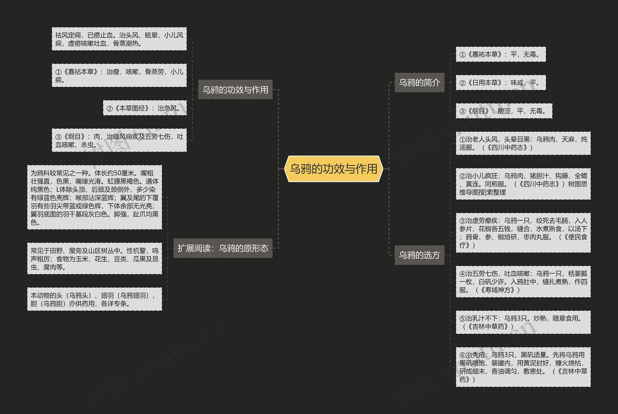 乌鸦的功效与作用思维导图