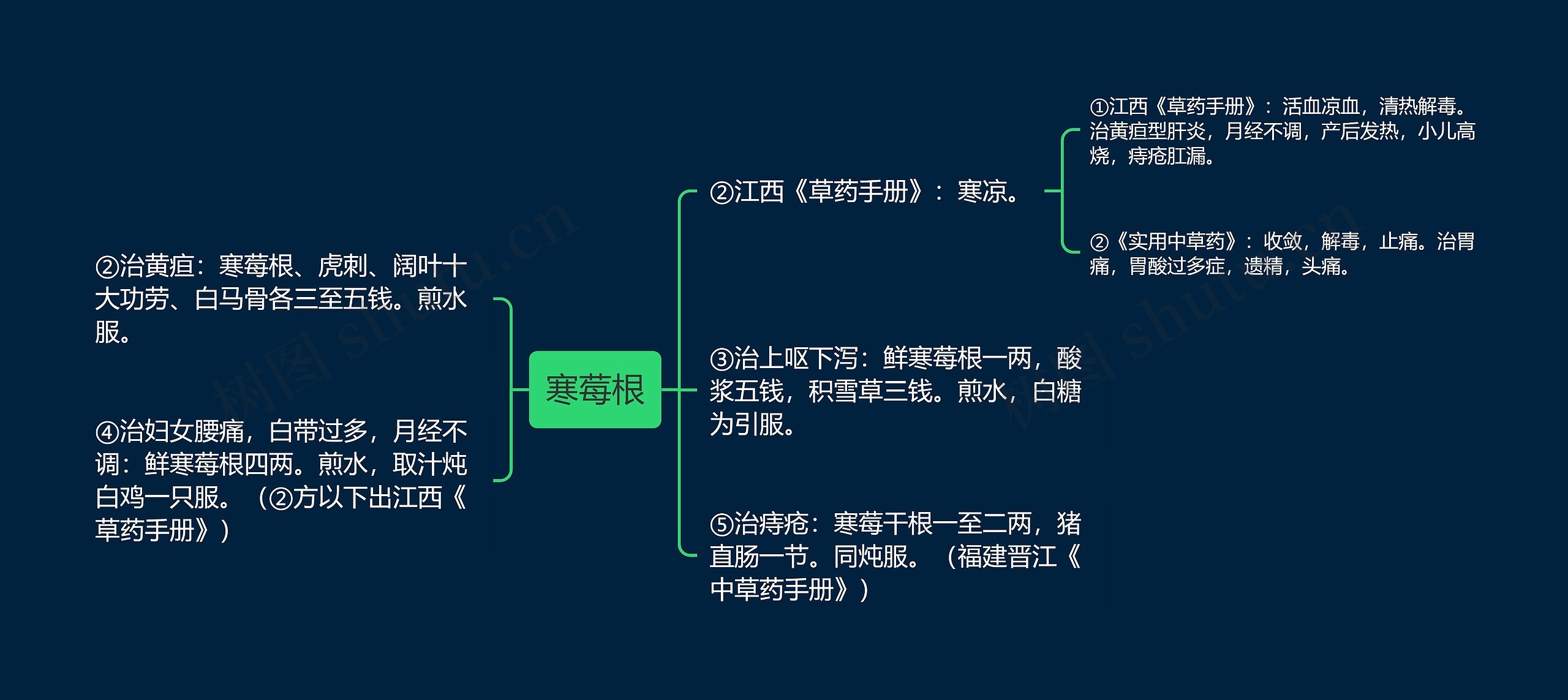 寒莓根思维导图