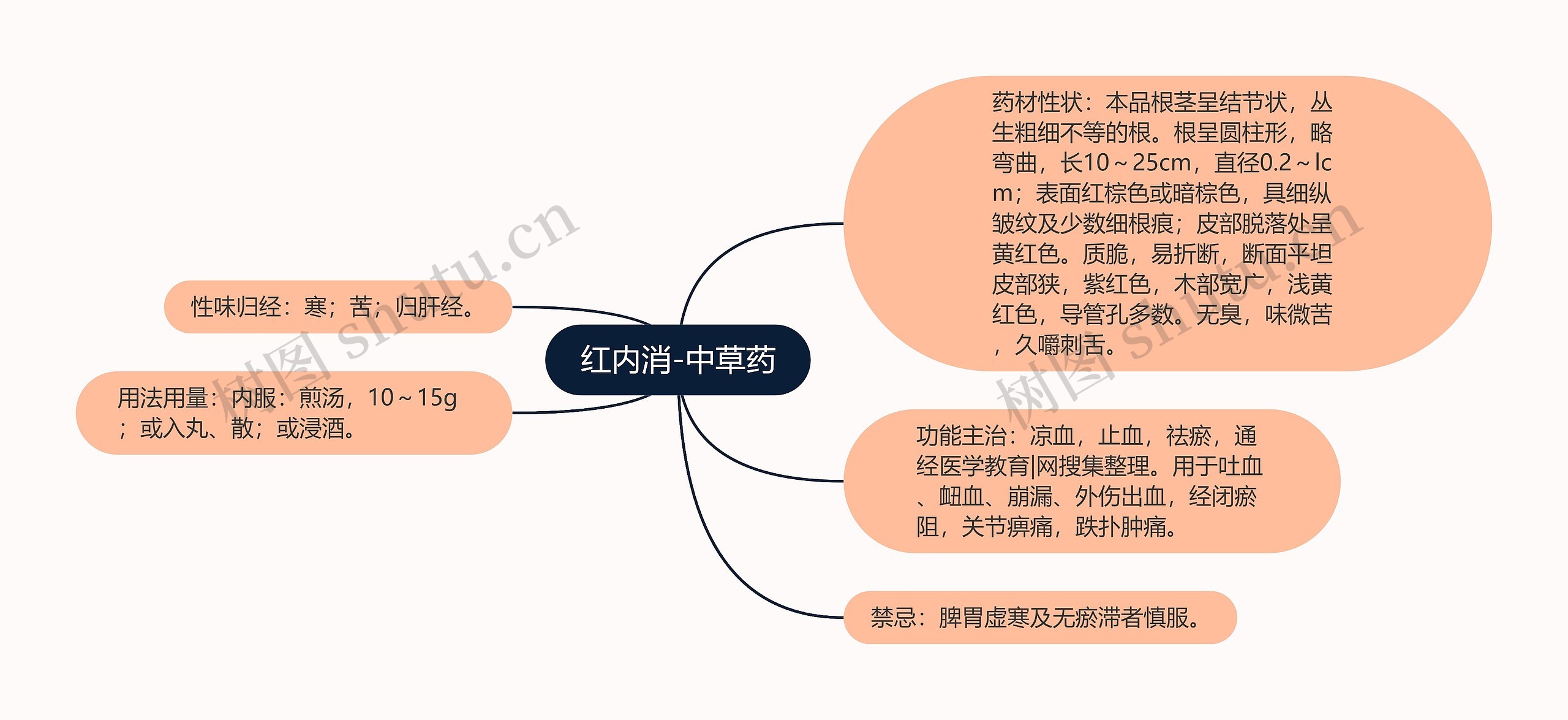 红内消-中草药思维导图