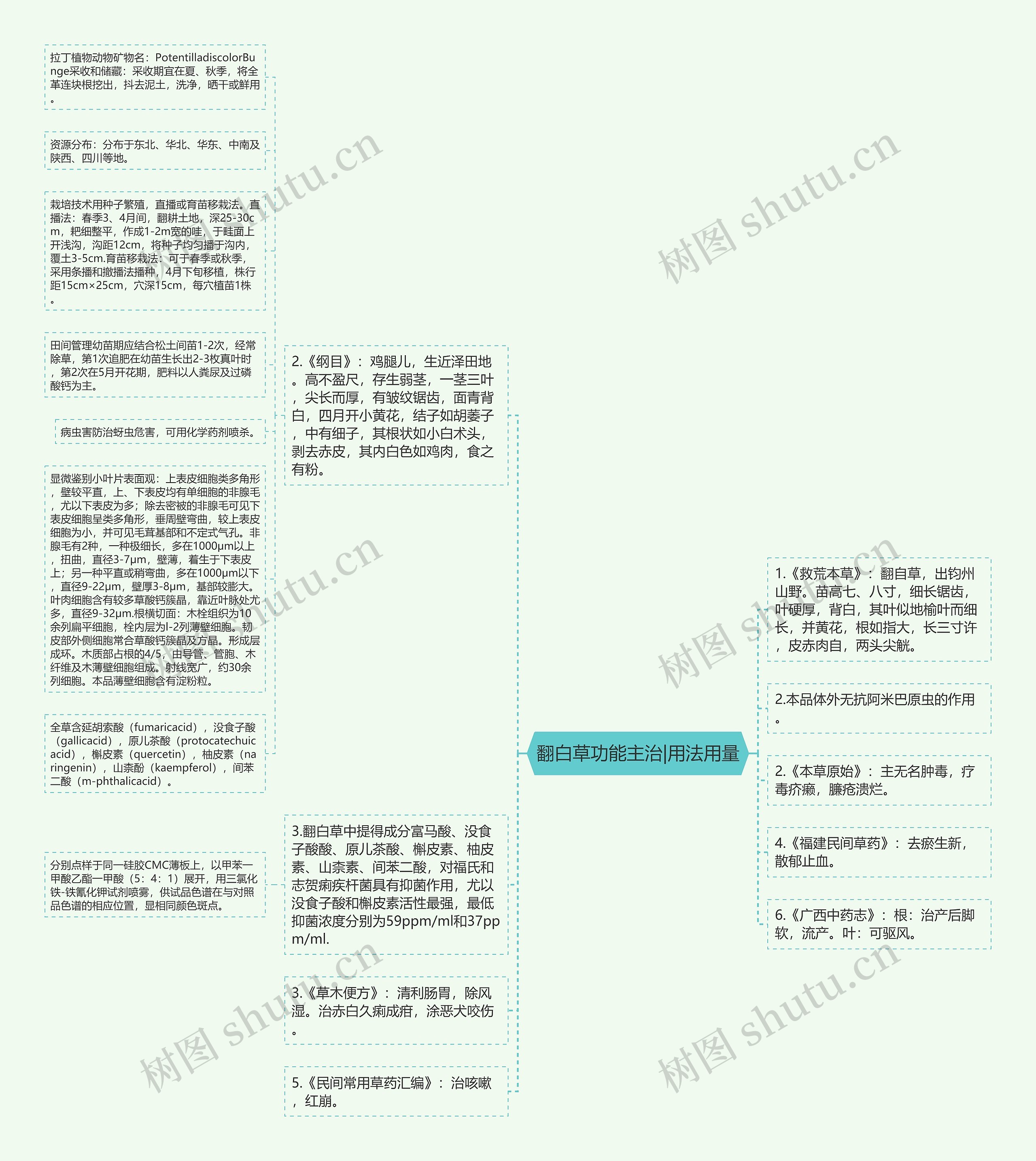 翻白草功能主治|用法用量思维导图