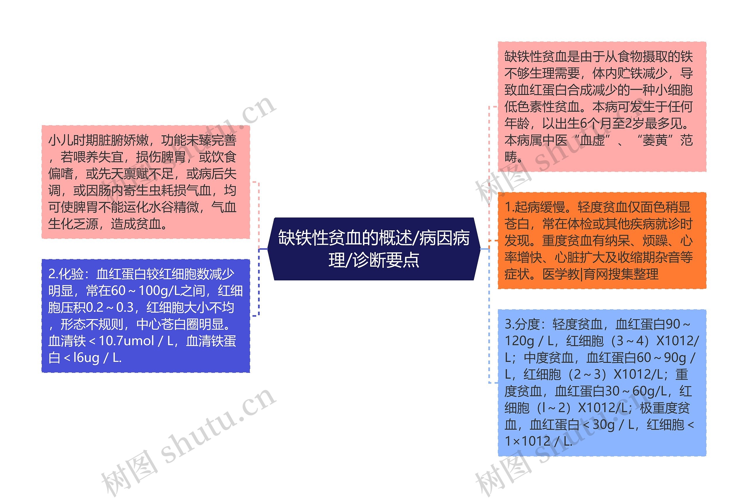 缺铁性贫血的概述/病因病理/诊断要点思维导图