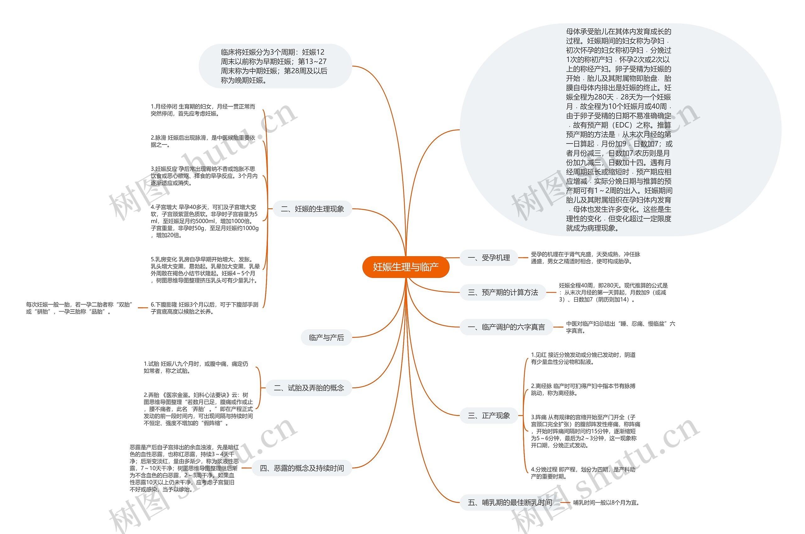 妊娠生理与临产思维导图