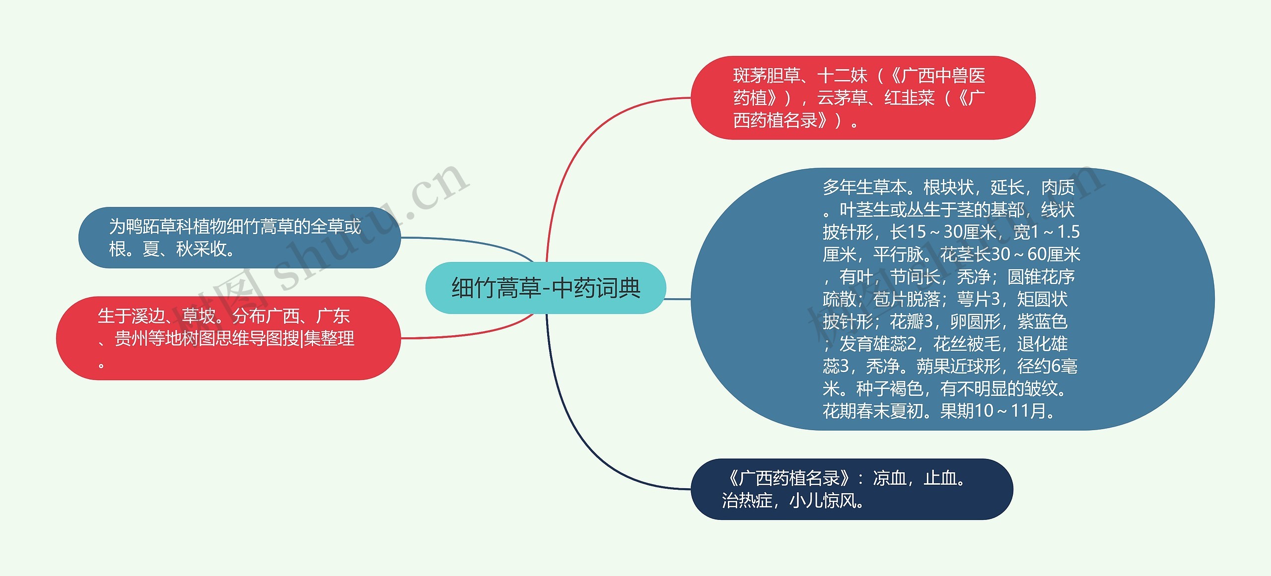 细竹蒿草-中药词典思维导图