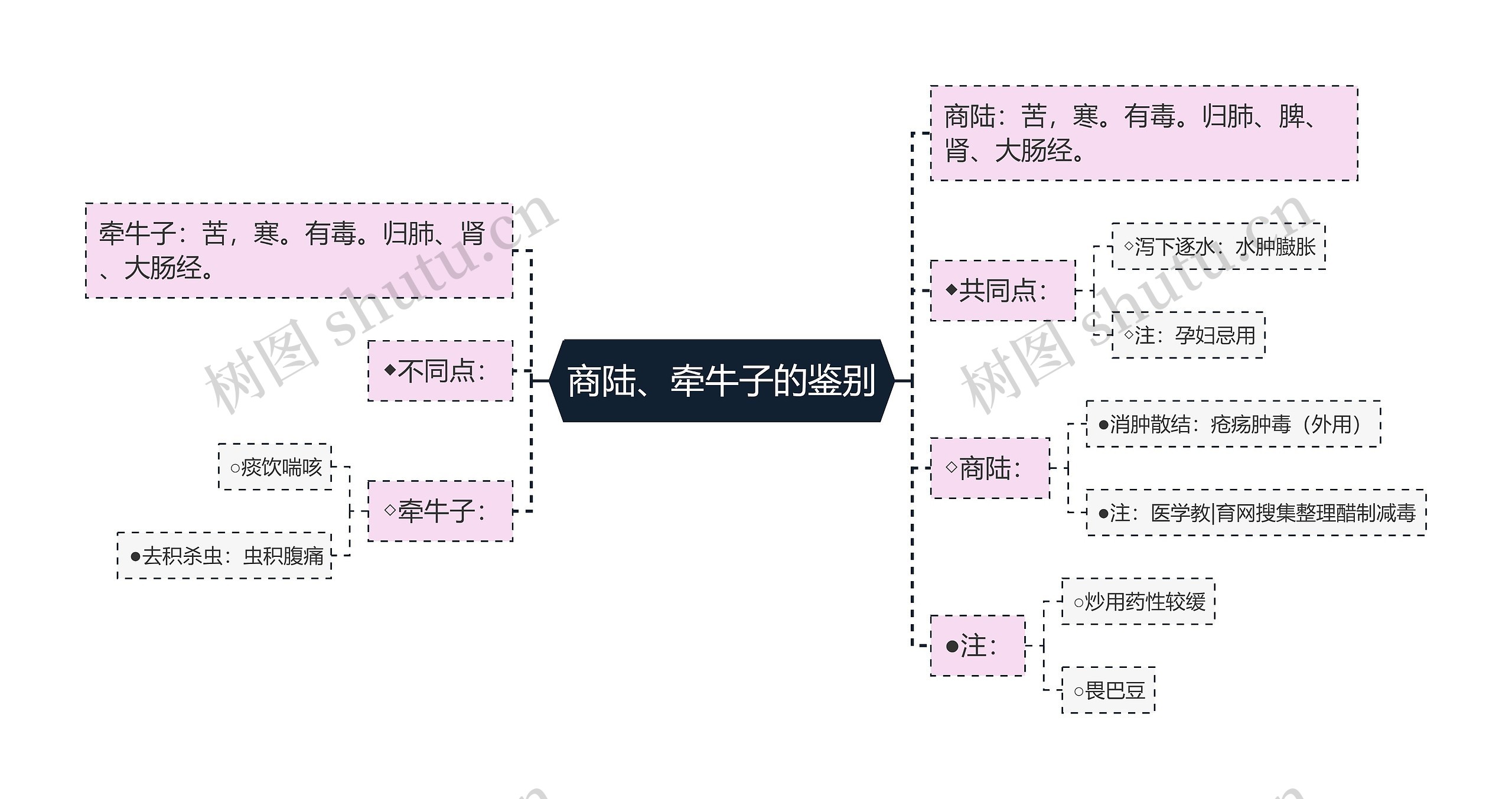 商陆、牵牛子的鉴别思维导图