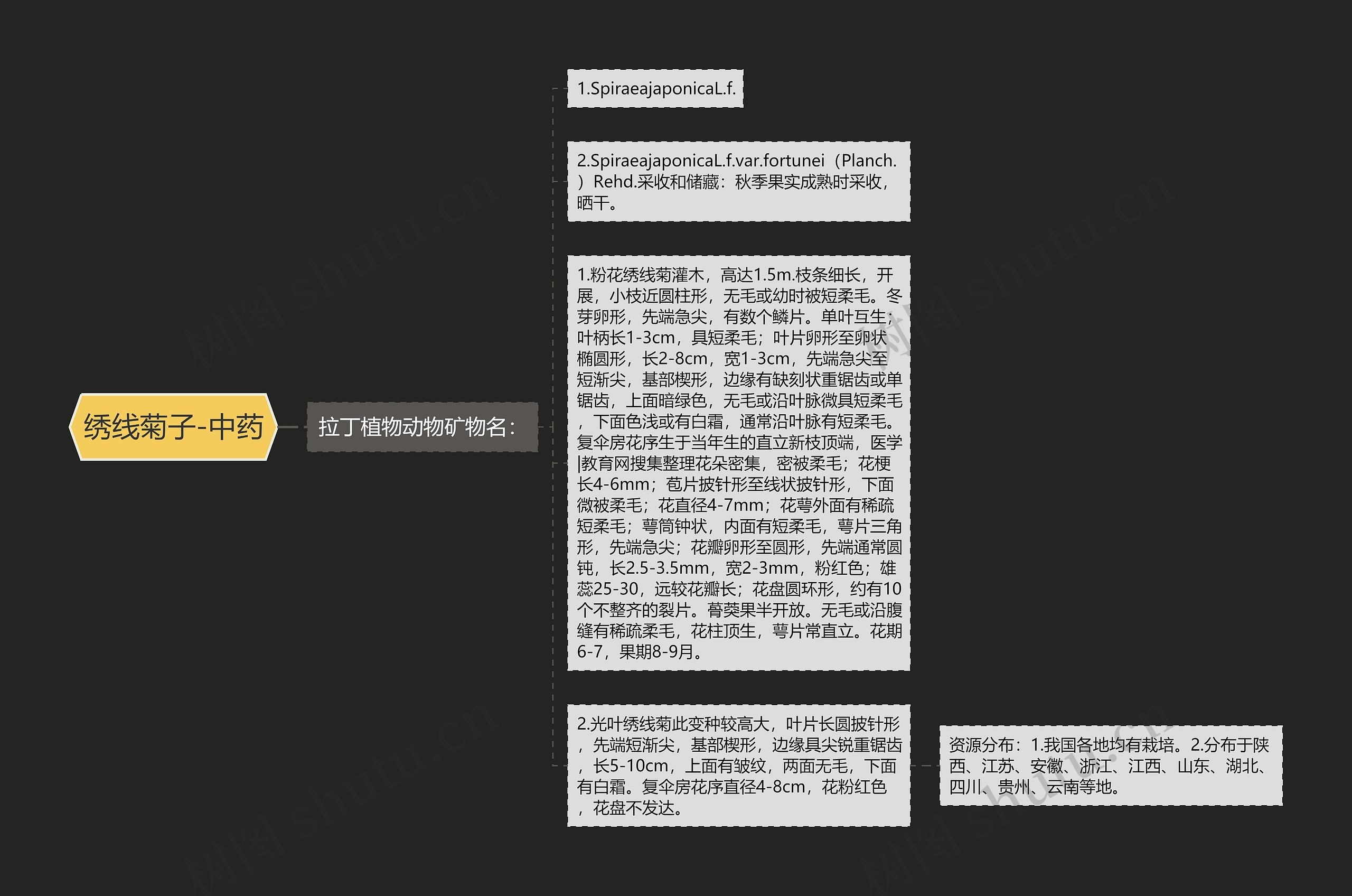 绣线菊子-中药 绣线菊子-中药