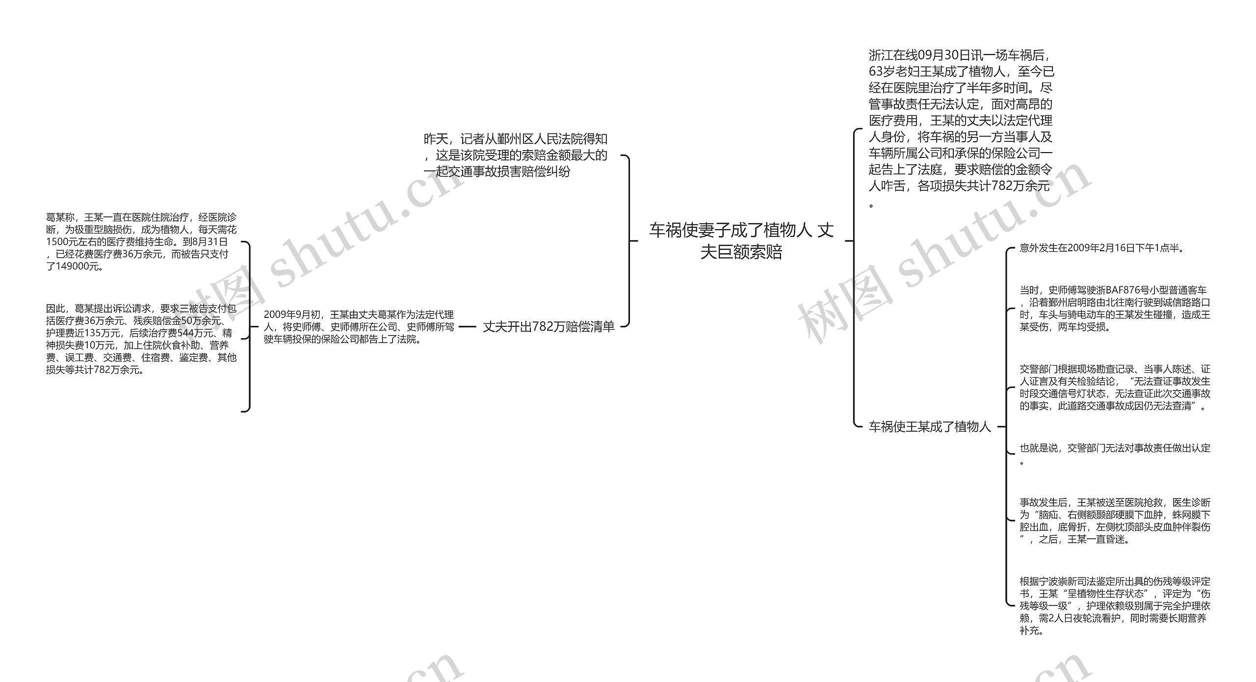 车祸使妻子成了植物人 丈夫巨额索赔思维导图