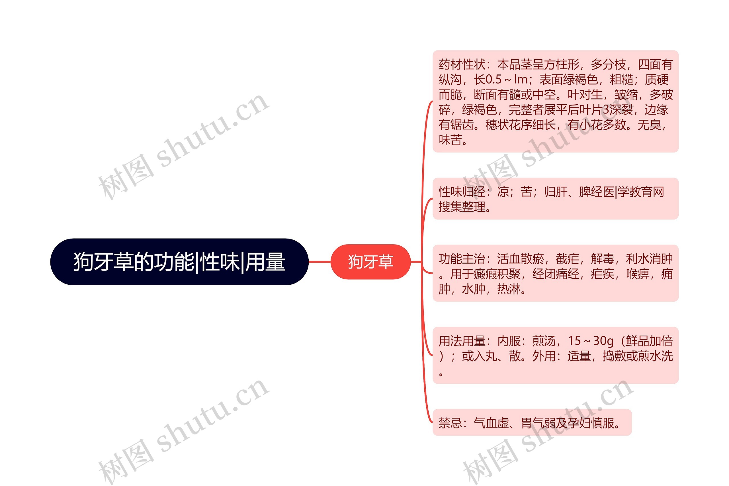 狗牙草的功能|性味|用量思维导图