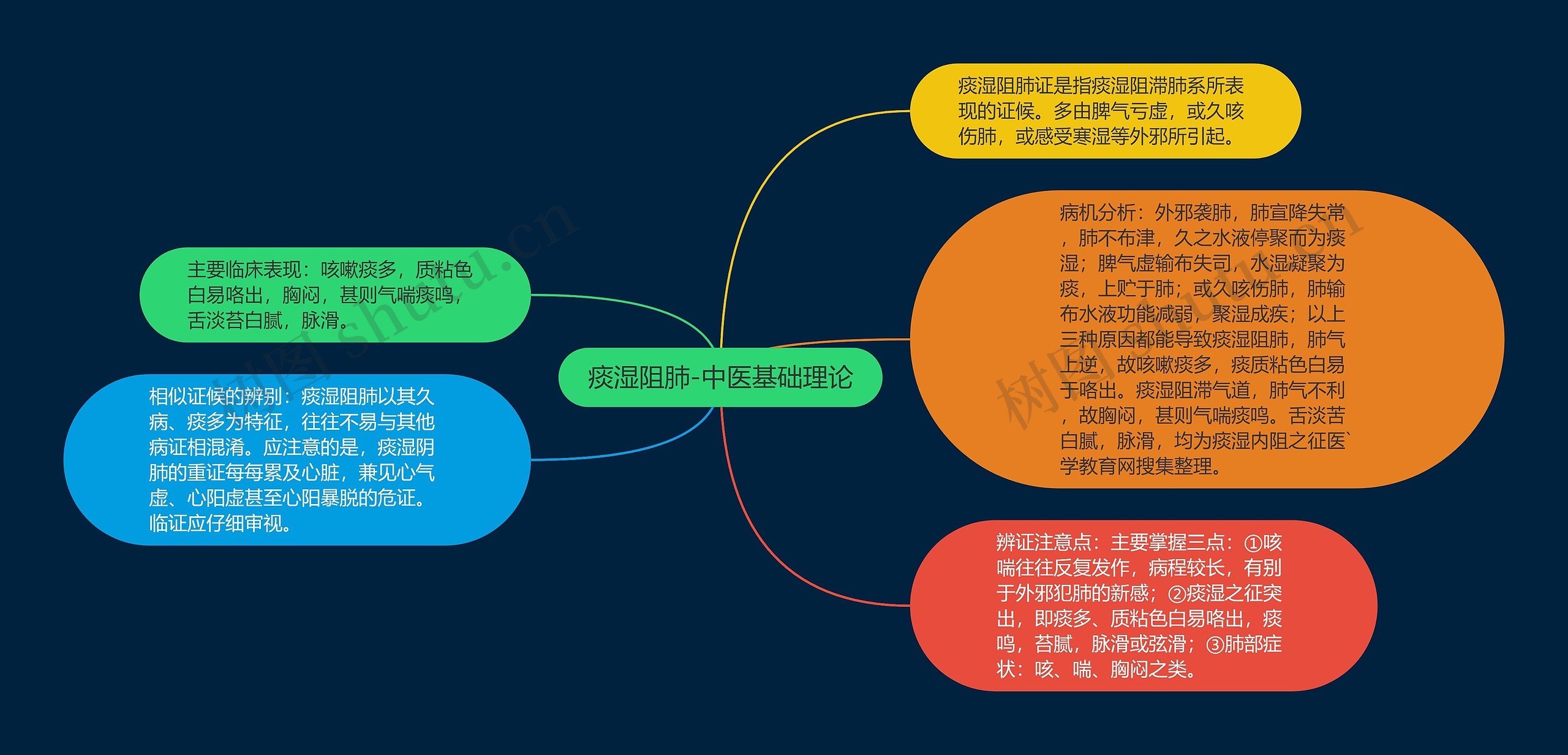 痰湿阻肺-中医基础理论思维导图