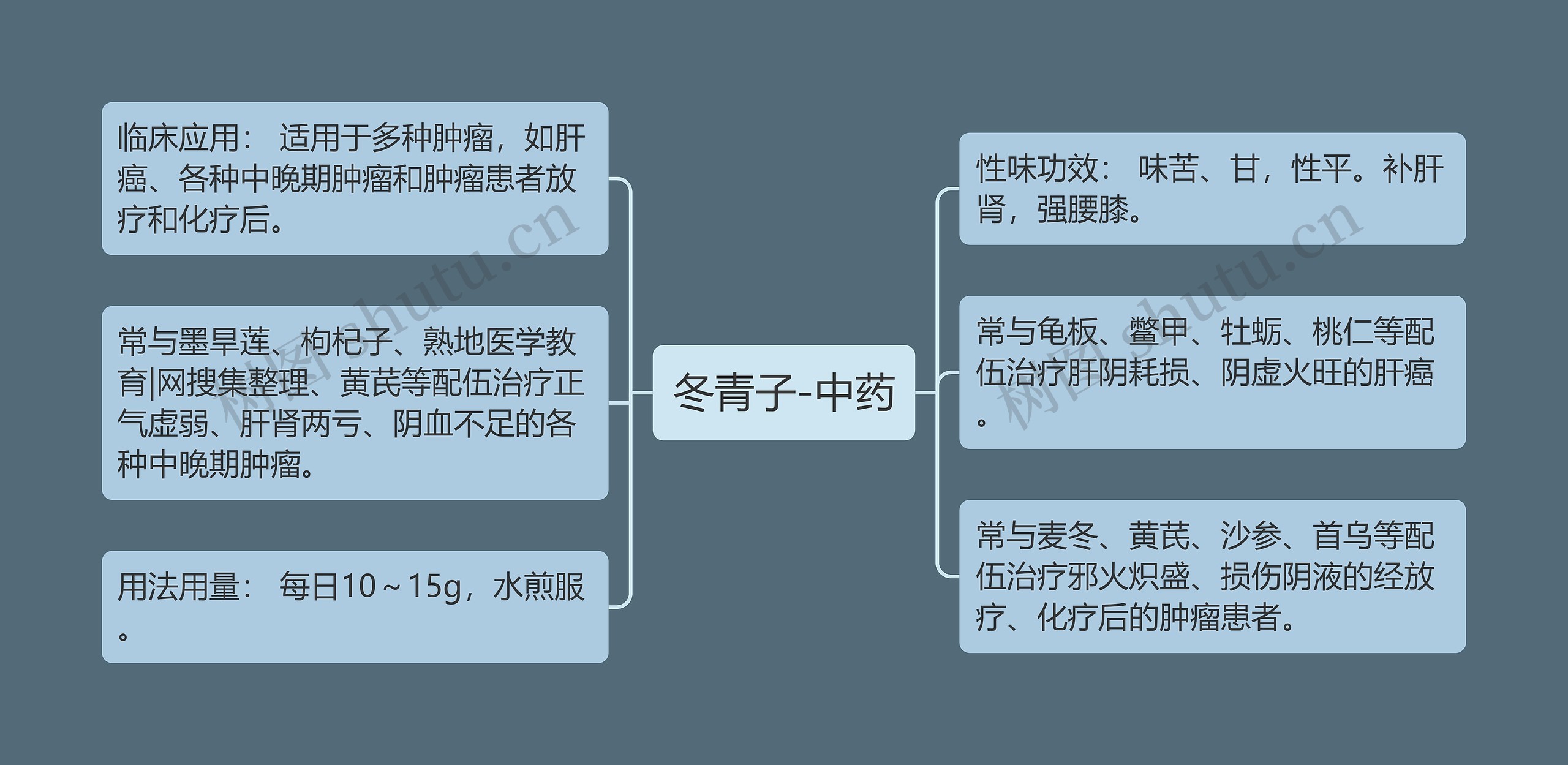 冬青子-中药思维导图