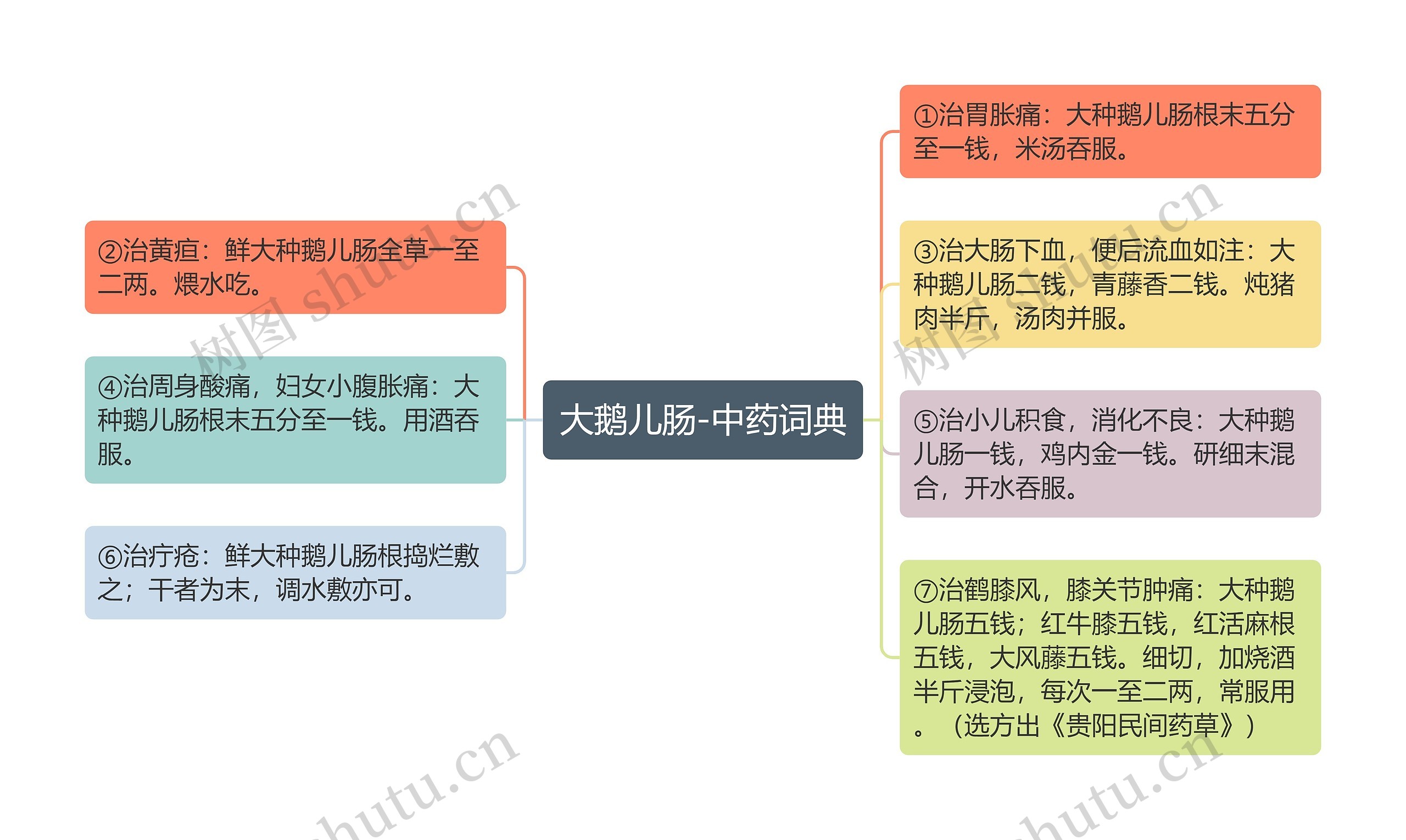 大鹅儿肠-中药词典思维导图