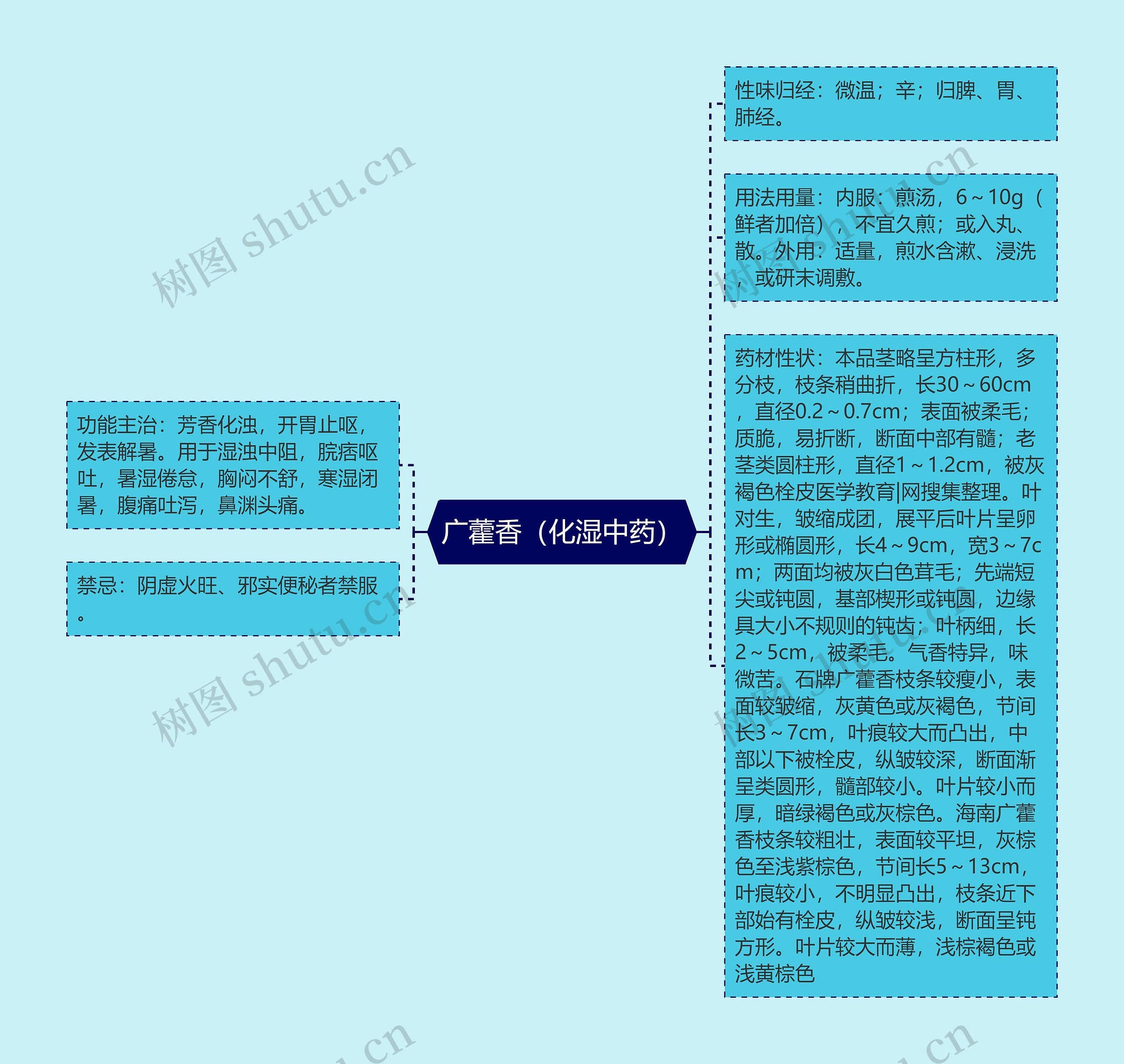 广藿香（化湿中药）思维导图
