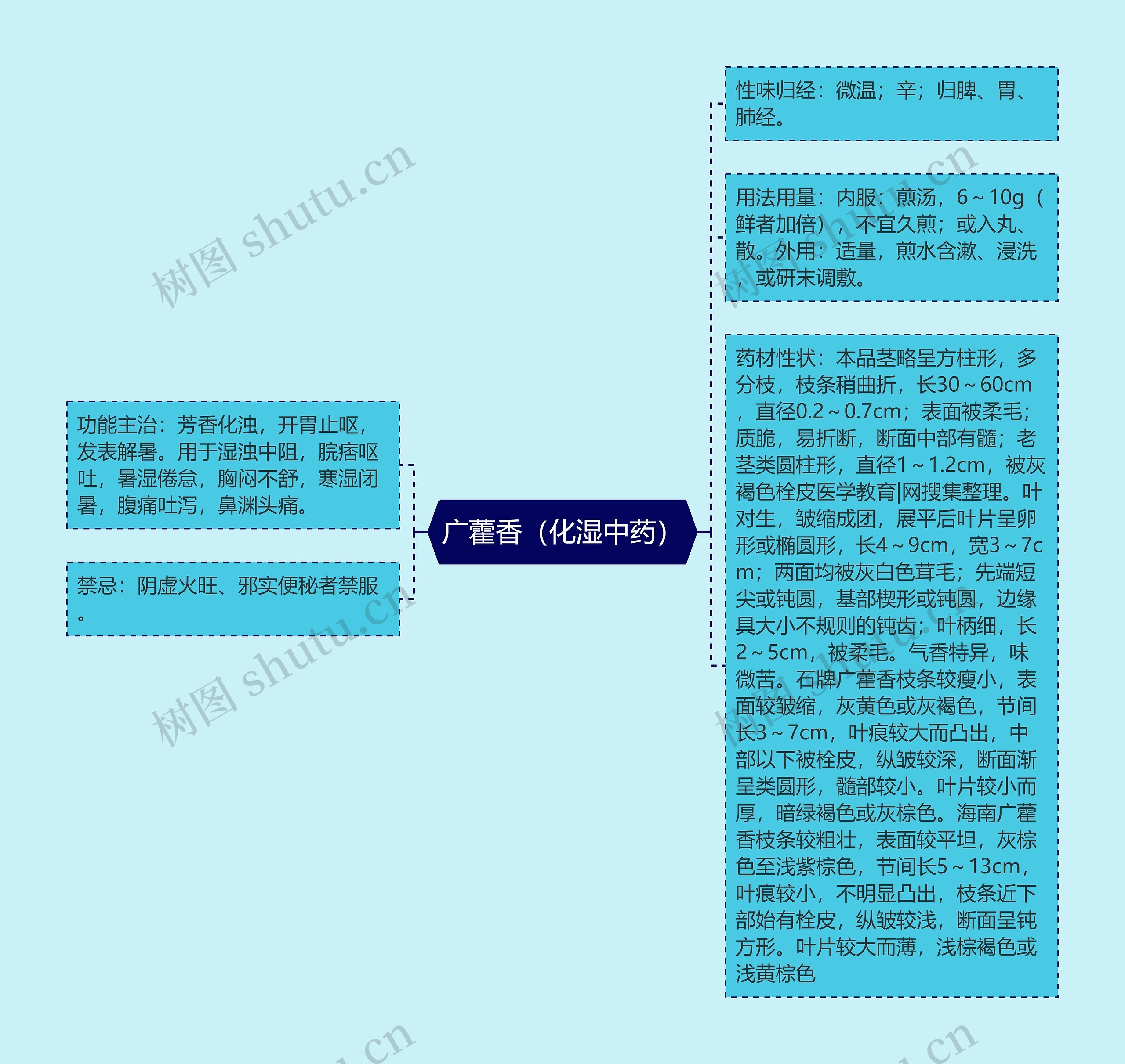 广藿香(化湿中药) 广藿香(化湿中药)