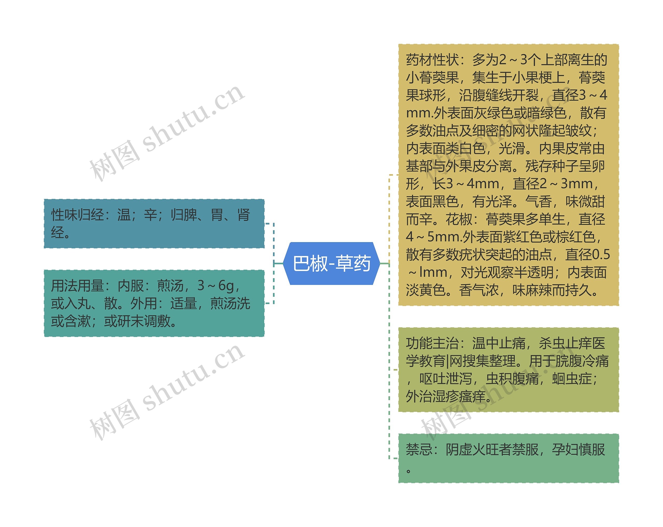 巴椒-草药思维导图