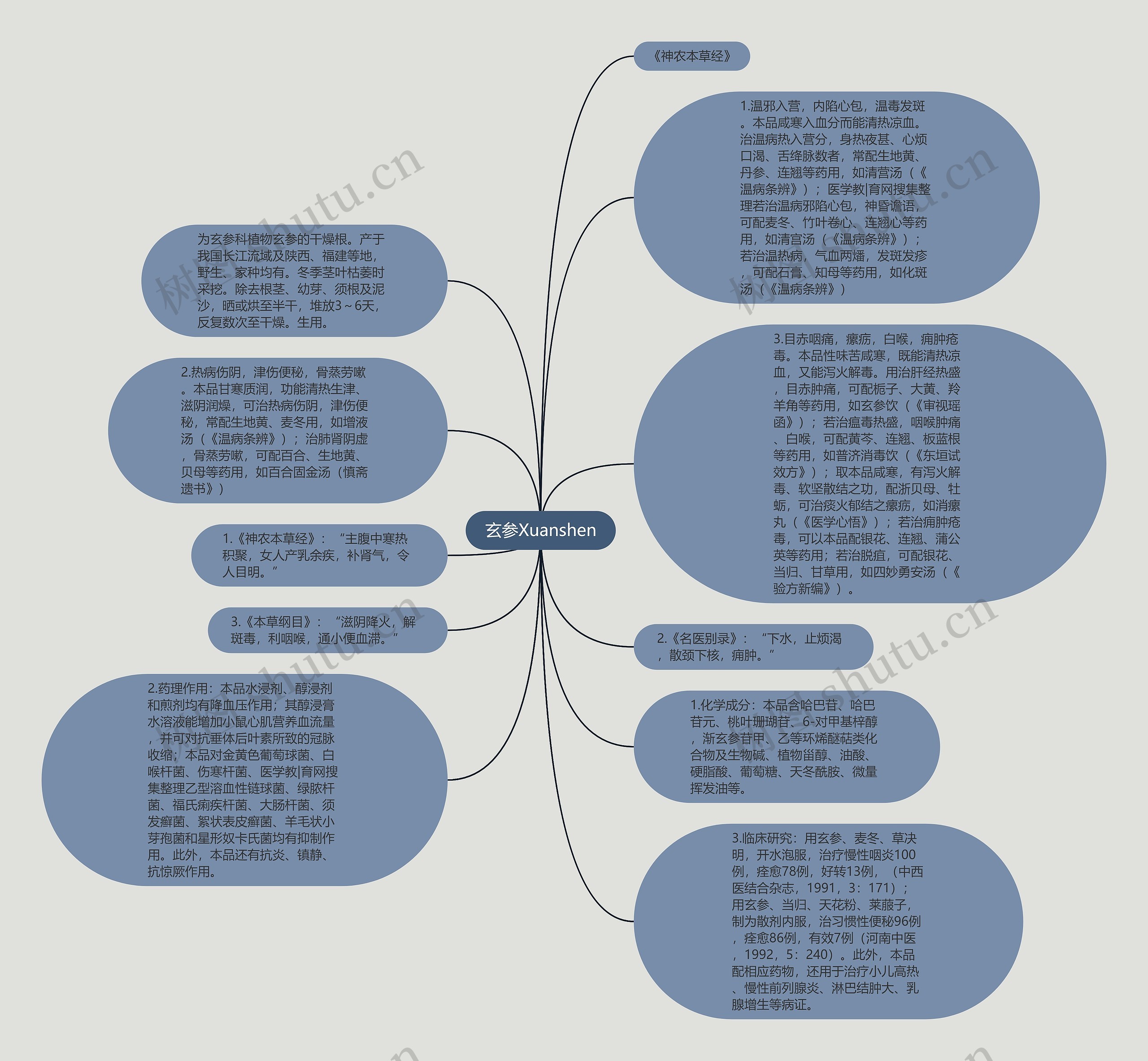 玄参Xuanshen思维导图